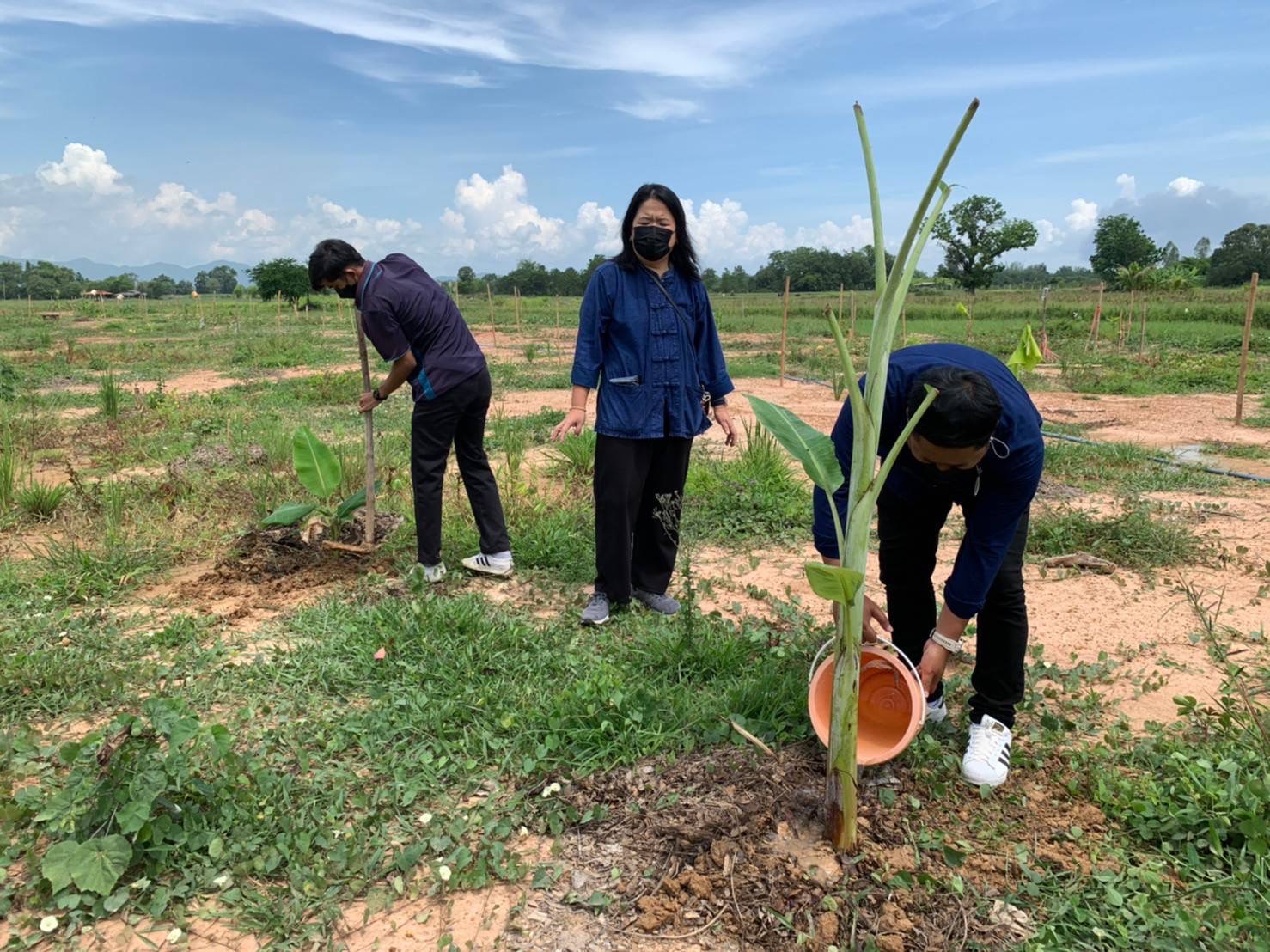 ??Paktho News Station??