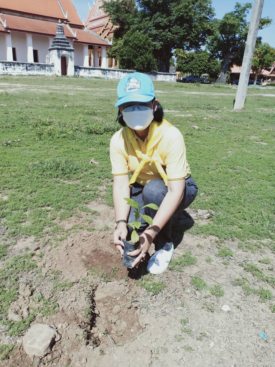 ? ข่าวประชาสัมพันธ์สำนักงานพัฒนาชุมชนอำเภอวัดเพลง