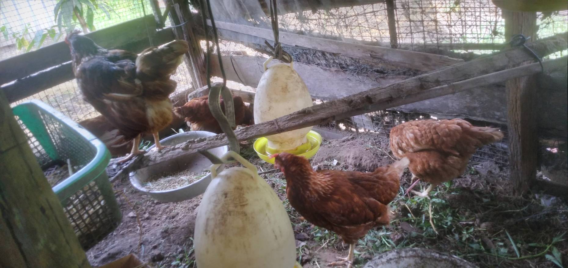 ? ข่าวประชาสัมพันธ์สำนักงานพัฒนาชุมชนอำเภอวัดเพลง จังหวัดราชบุรี