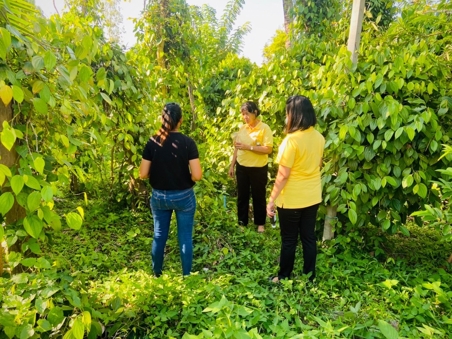 ? ข่าวประชาสัมพันธ์สำนักงานพัฒนาชุมชนอำเภอสวนผึ้ง