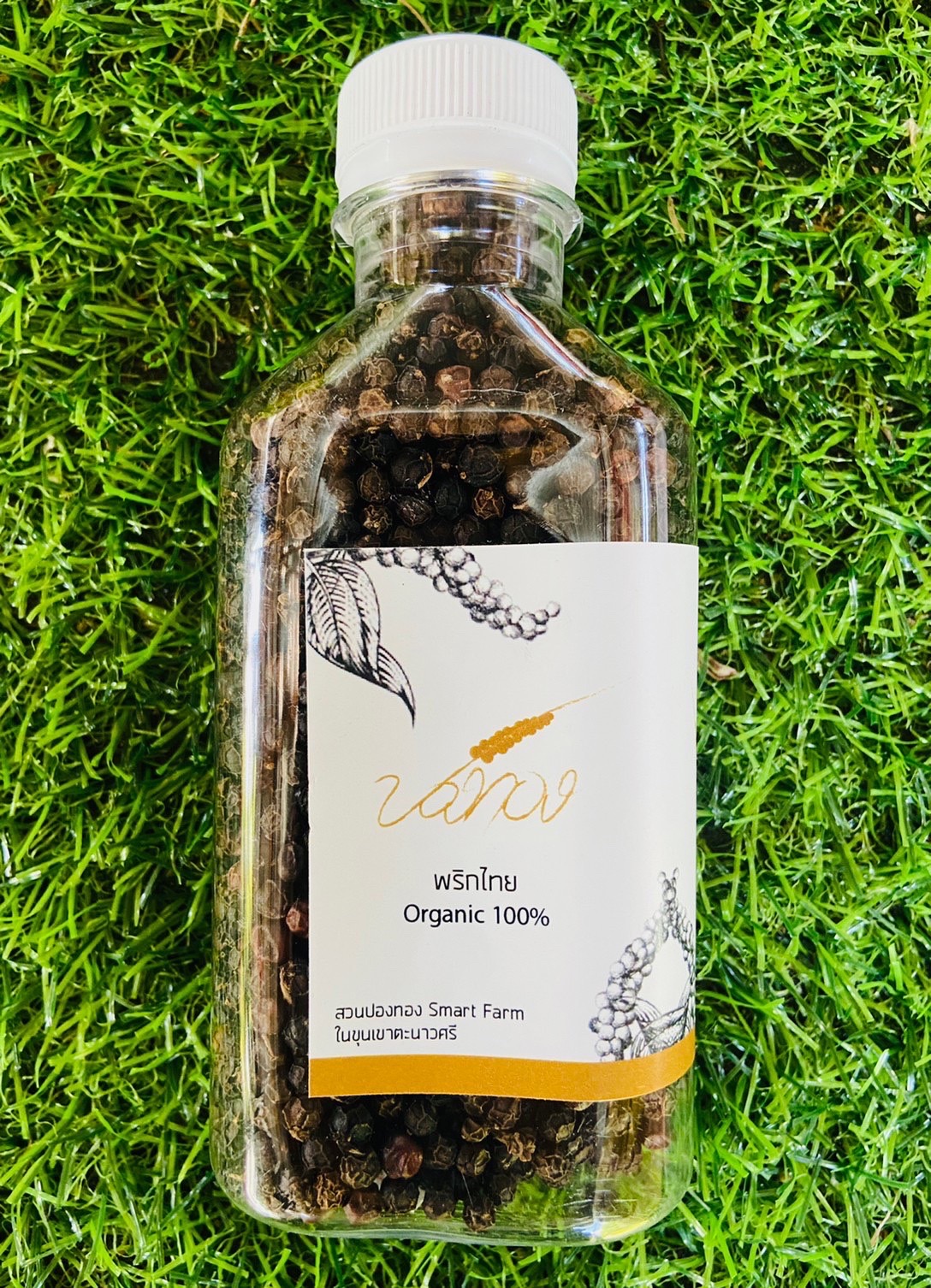 ? ข่าวประชาสัมพันธ์สำนักงานพัฒนาชุมชนอำเภอสวนผึ้ง