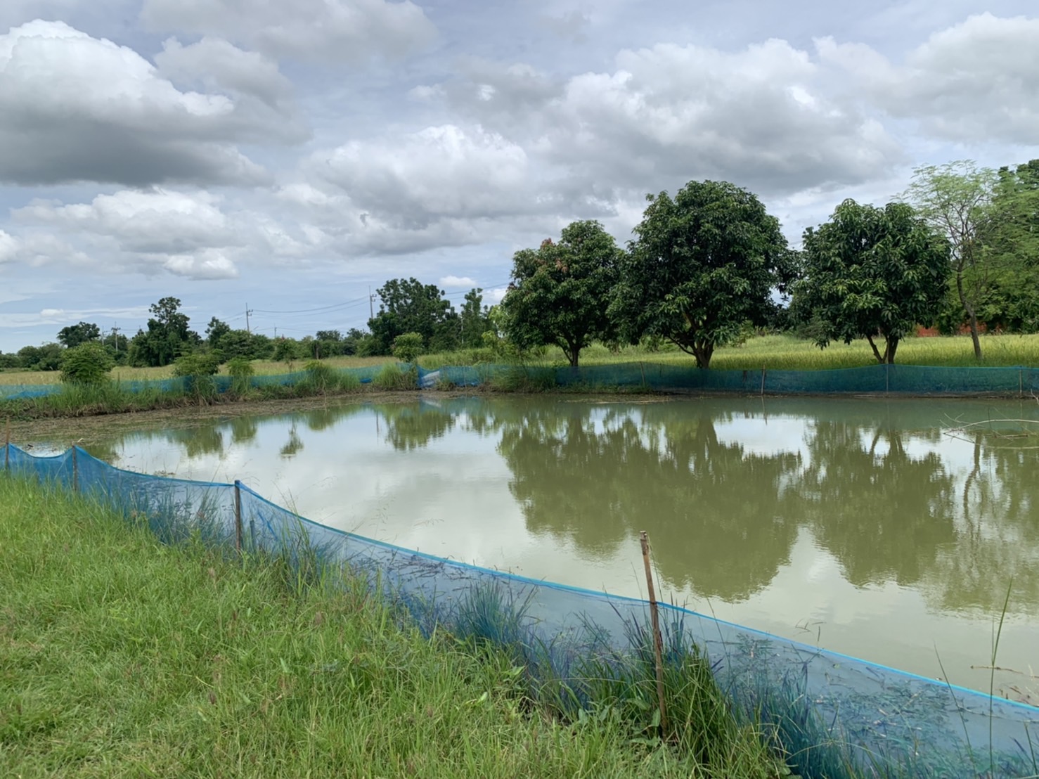 ??Paktho News Station??