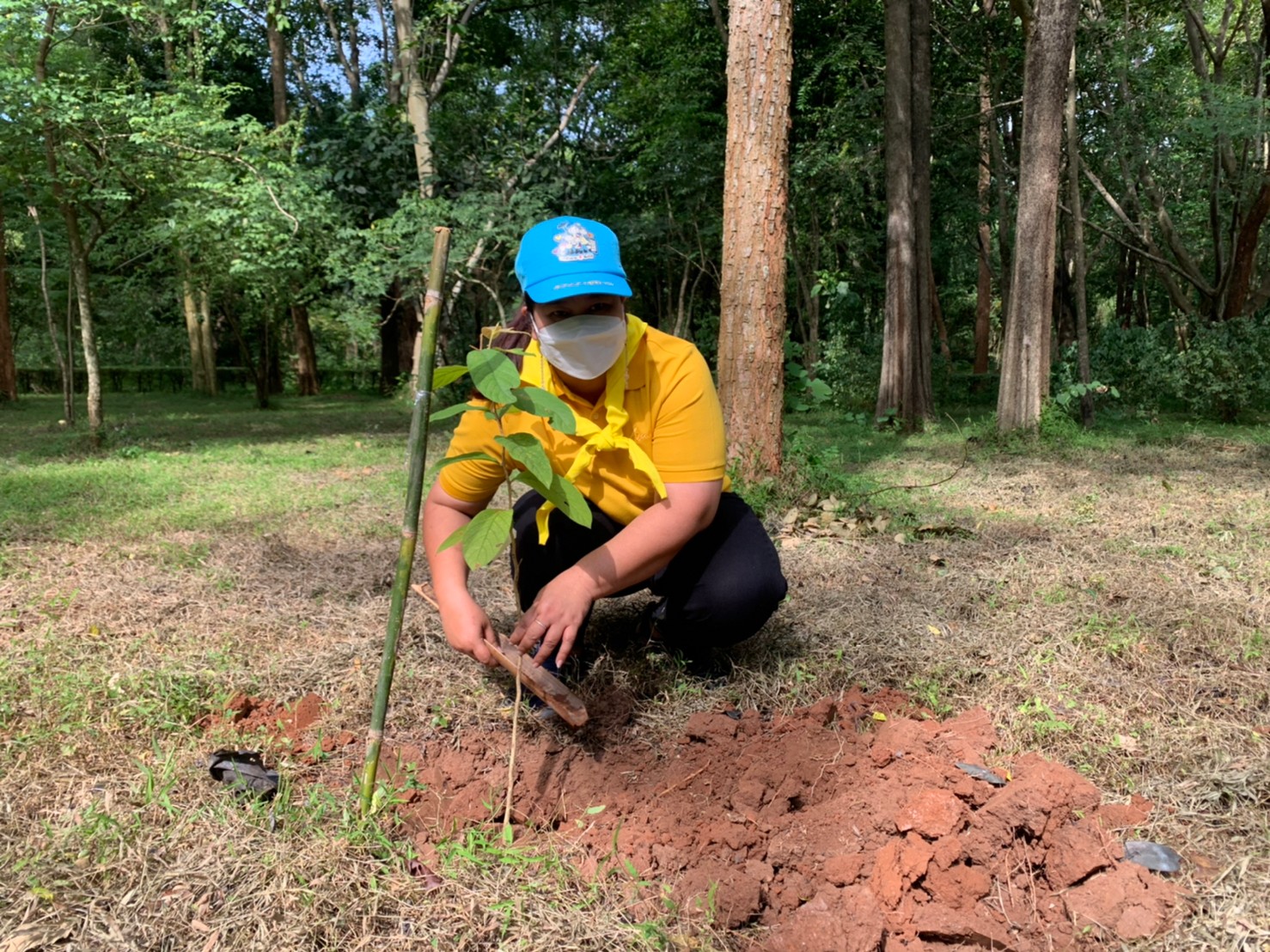 ? ข่าวประชาสัมพันธ์ ? สำนักงานพัฒนาชุมชนอำเภอจอมบึง