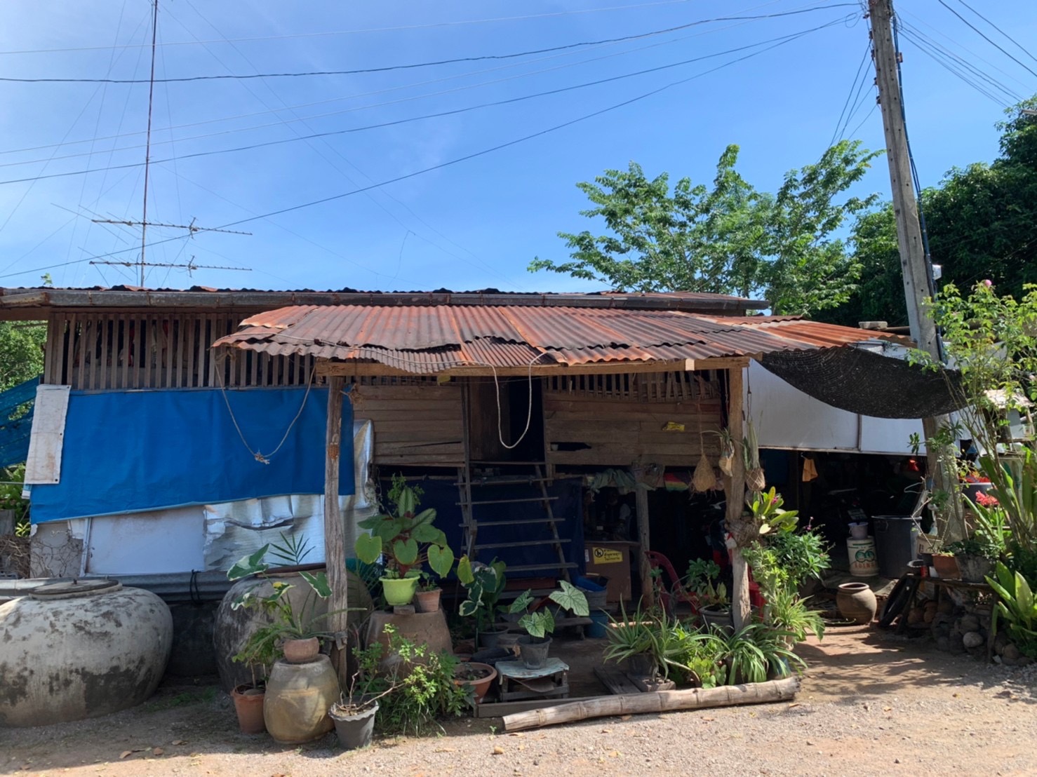 ??Paktho News Station??