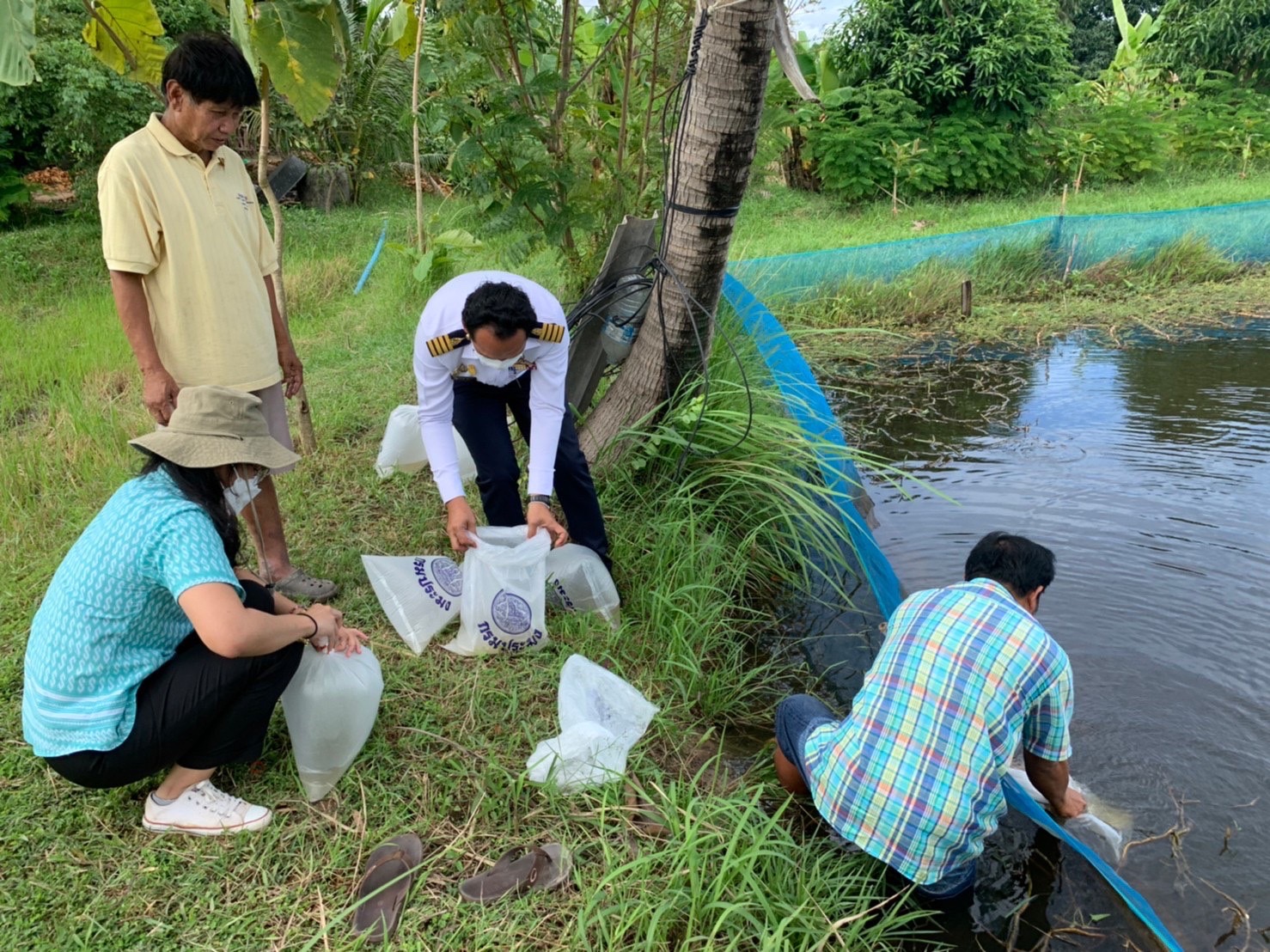 ??Paktho News Station??