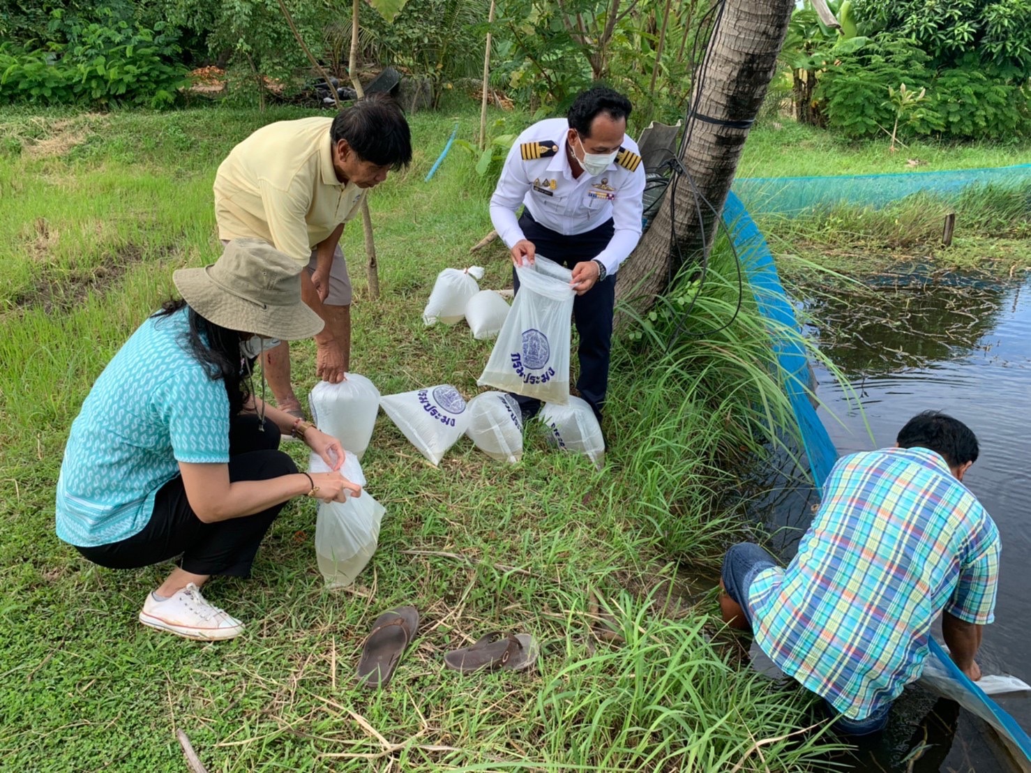 ??Paktho News Station??