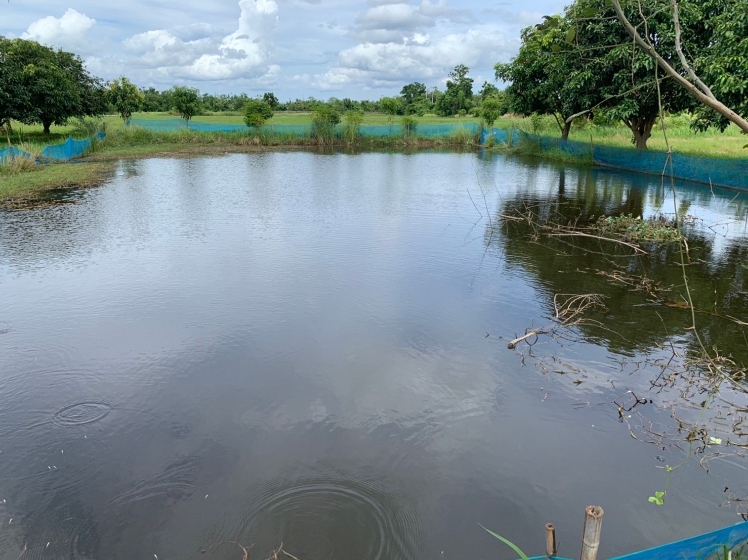 ??Paktho News Station??