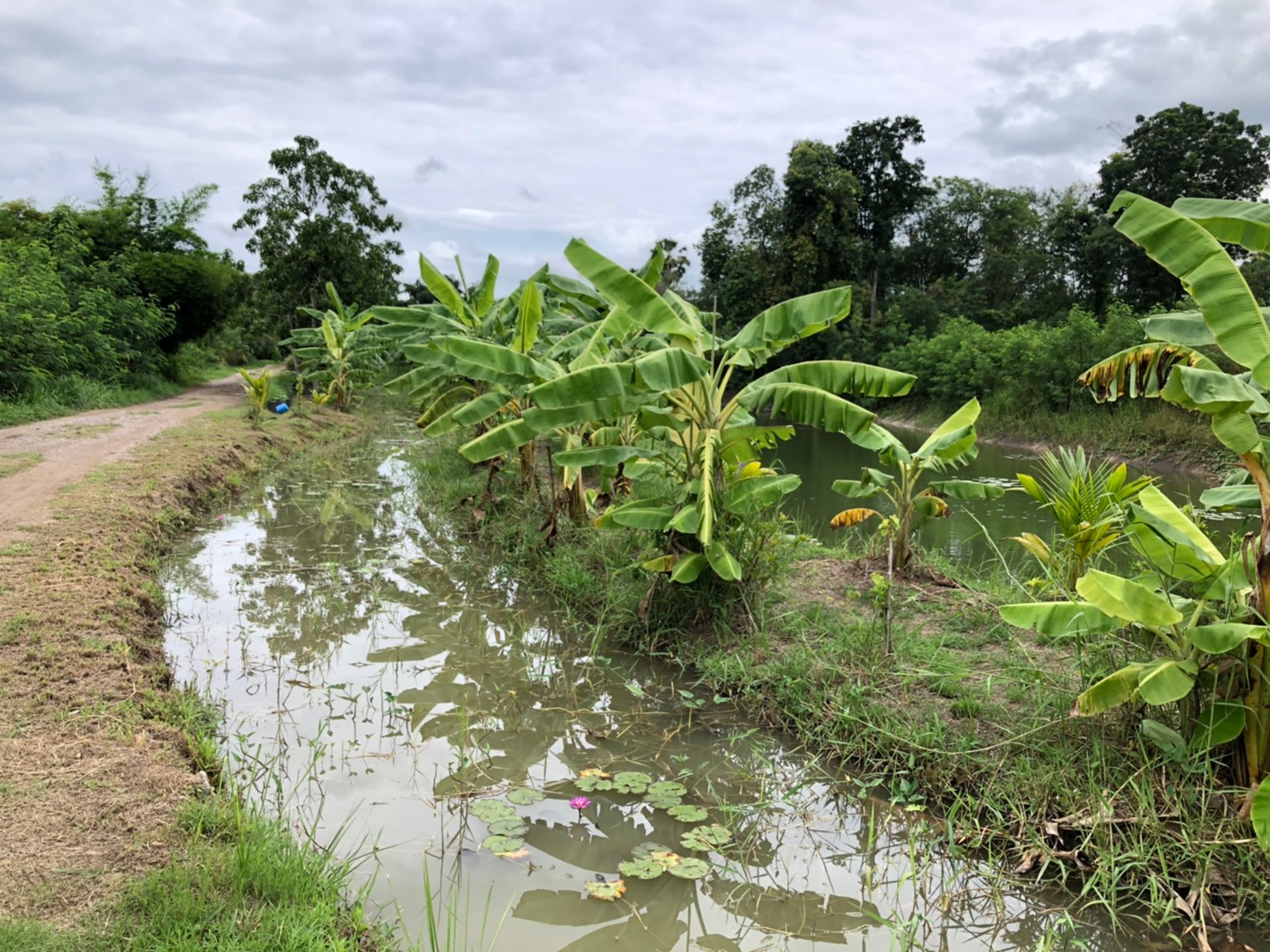 ? ข่าวประชาสัมพันธ์ ? สำนักงานพัฒนาชุมชนอำเภอจอมบึง