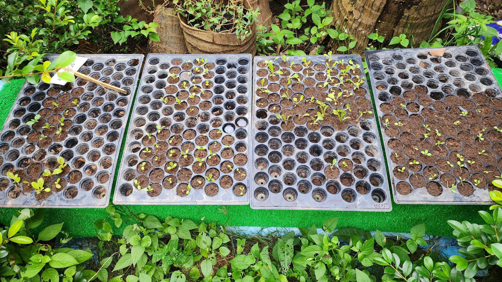 ?พช.ราชบุรี ลงพื้นที่ เยี่ยมชมการดำเนินงานศูนย์เรียนรู้ โคก หนอง นา พัฒนาชุมชน ในพื้นที่อำเภอดำเนินสะดวก จังหวัดราชบุรี