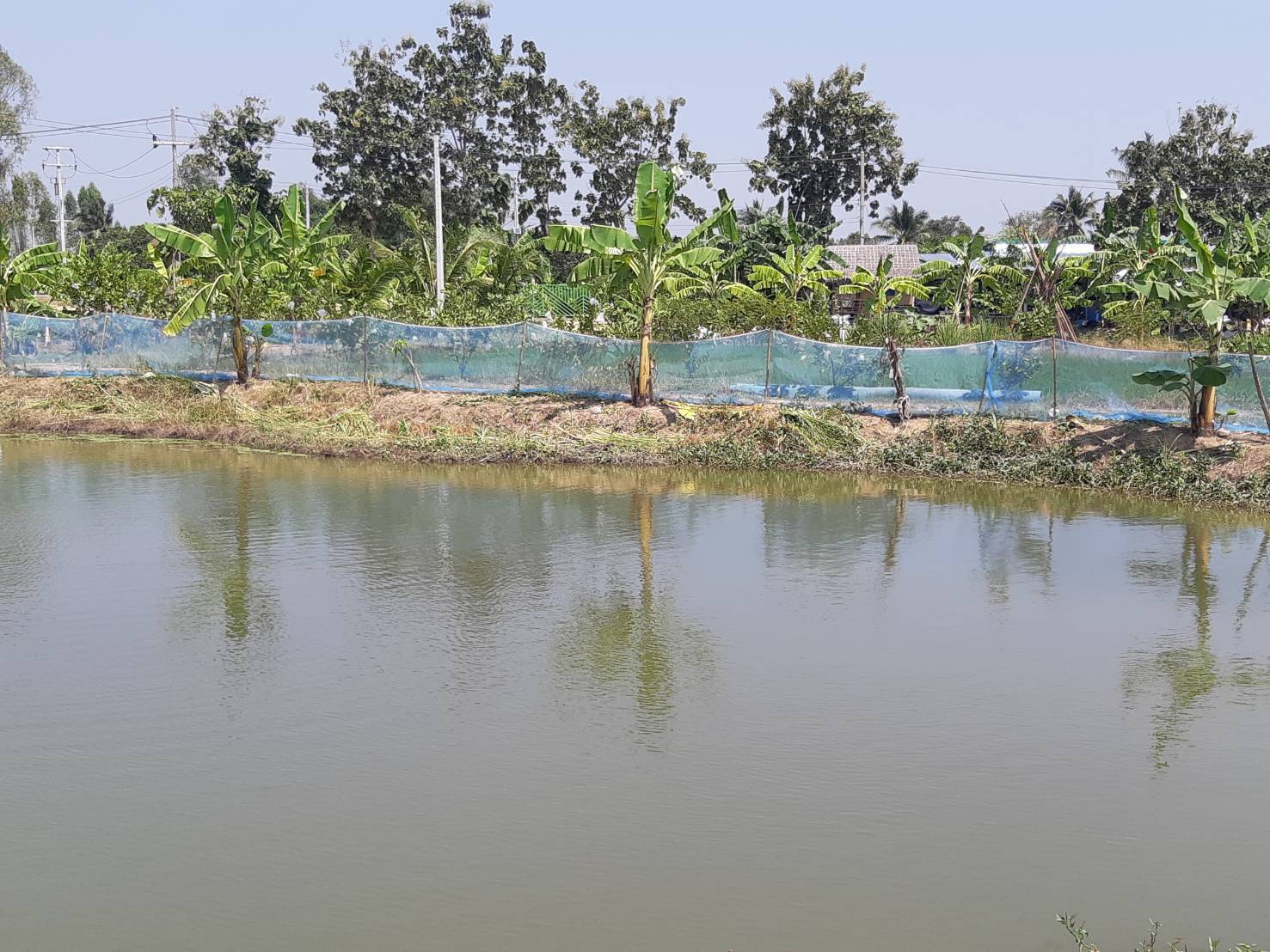 ?พช.ราชบุรี ลงพื้นที่ ติดตามผลการดำเนินงานศูนย์เรียนรู้ โคก หนอง นา พัฒนาชุมชน ในพื้นที่อำเภอบ้านโป่ง จังหวัดราชบุรี