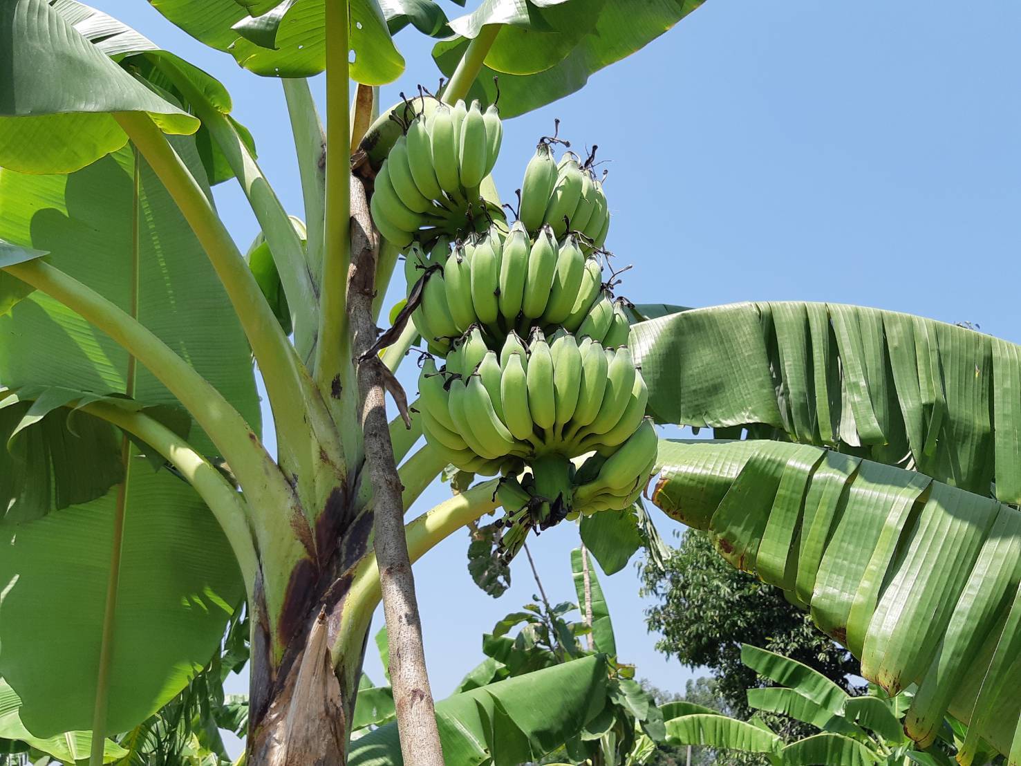 ?พช.ราชบุรี ลงพื้นที่ ติดตามผลการดำเนินงานศูนย์เรียนรู้ โคก หนอง นา พัฒนาชุมชน ในพื้นที่อำเภอบ้านโป่ง จังหวัดราชบุรี