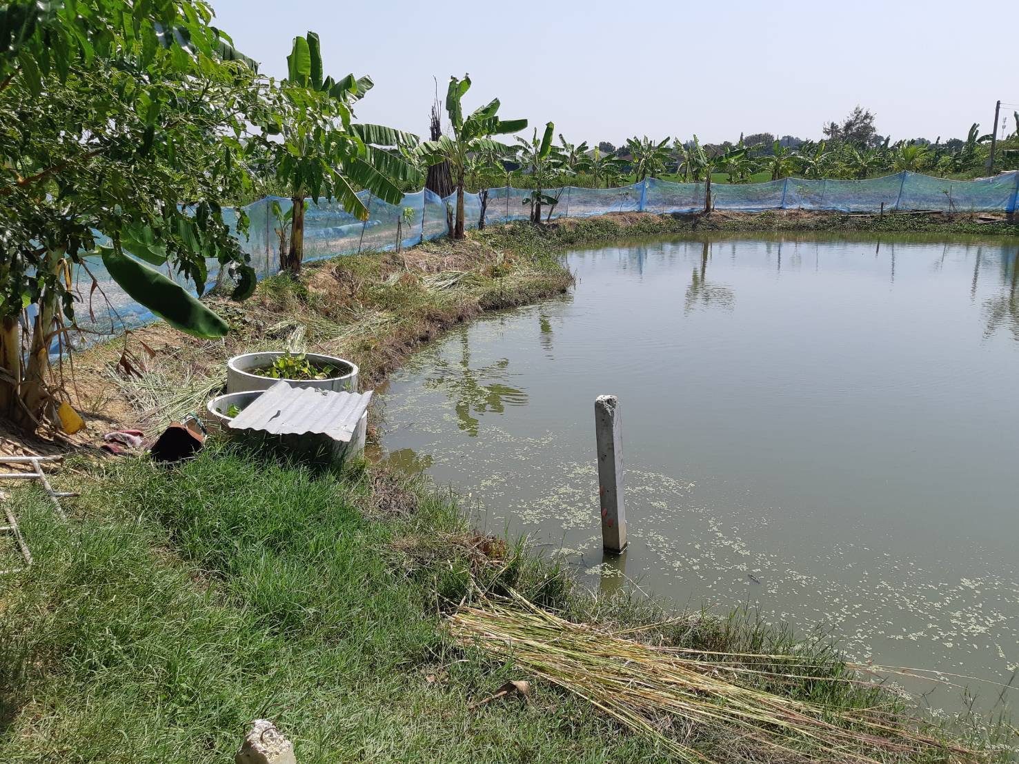 ?พช.ราชบุรี ลงพื้นที่ ติดตามผลการดำเนินงานศูนย์เรียนรู้ โคก หนอง นา พัฒนาชุมชน ในพื้นที่อำเภอบ้านโป่ง จังหวัดราชบุรี