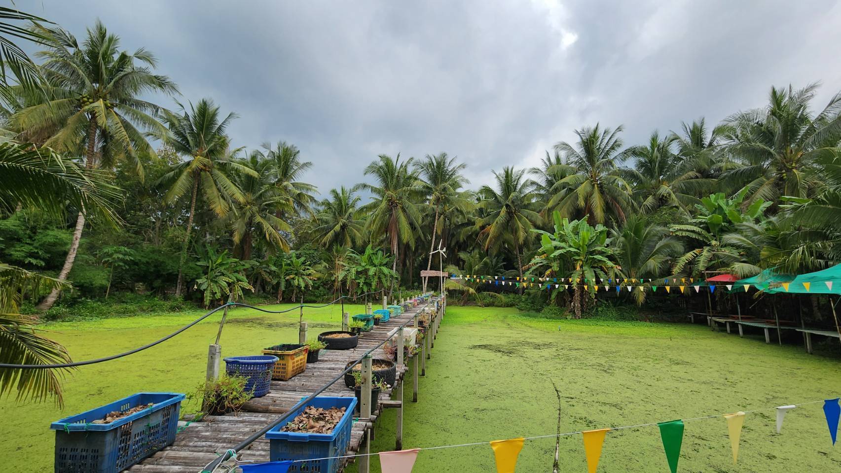 ?พช.ราชบุรี ลงพื้นที่ เยี่ยมชมการดำเนินงานศูนย์เรียนรู้ โคก หนอง นา พัฒนาชุมชน ในพื้นที่อำเภอดำเนินสะดวก จังหวัดราชบุรี