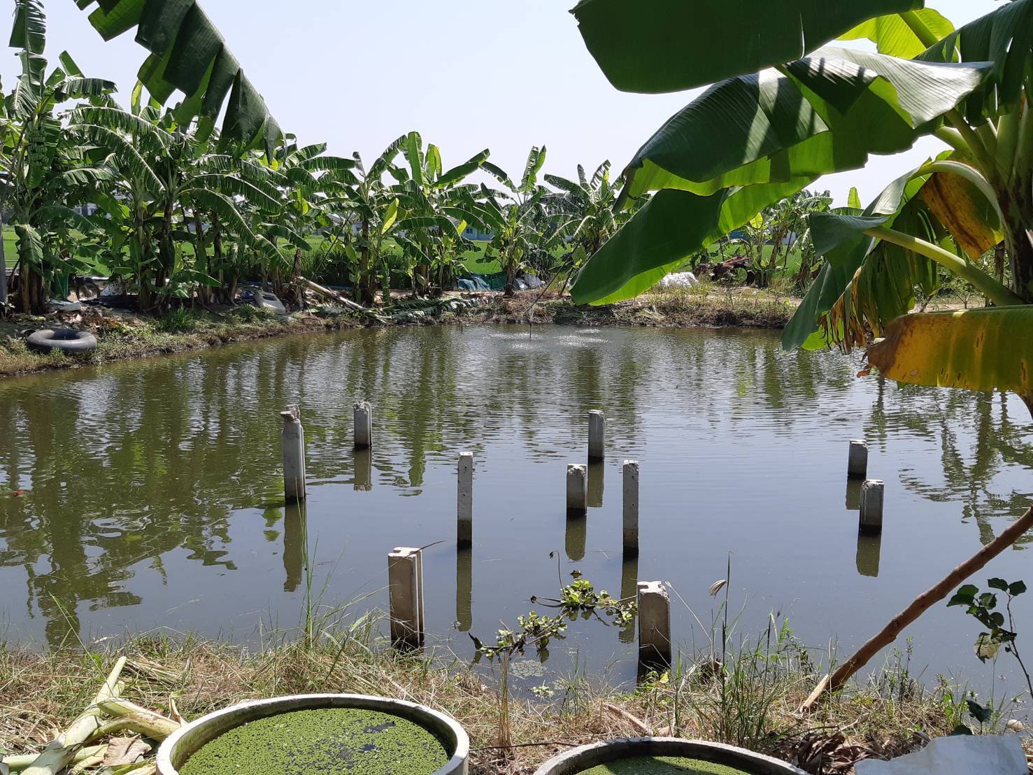 ?พช.ราชบุรี ลงพื้นที่ ติดตามผลการดำเนินงานศูนย์เรียนรู้ โคก หนอง นา พัฒนาชุมชน ในพื้นที่อำเภอบ้านโป่ง จังหวัดราชบุรี