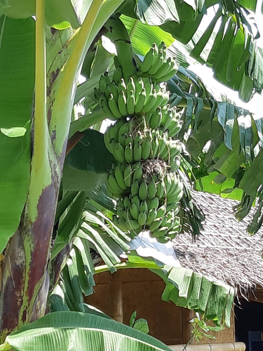 ?พช.ราชบุรี ลงพื้นที่ ติดตามผลการดำเนินงานศูนย์เรียนรู้ โคก หนอง นา พัฒนาชุมชน ในพื้นที่อำเภอบ้านโป่ง จังหวัดราชบุรี