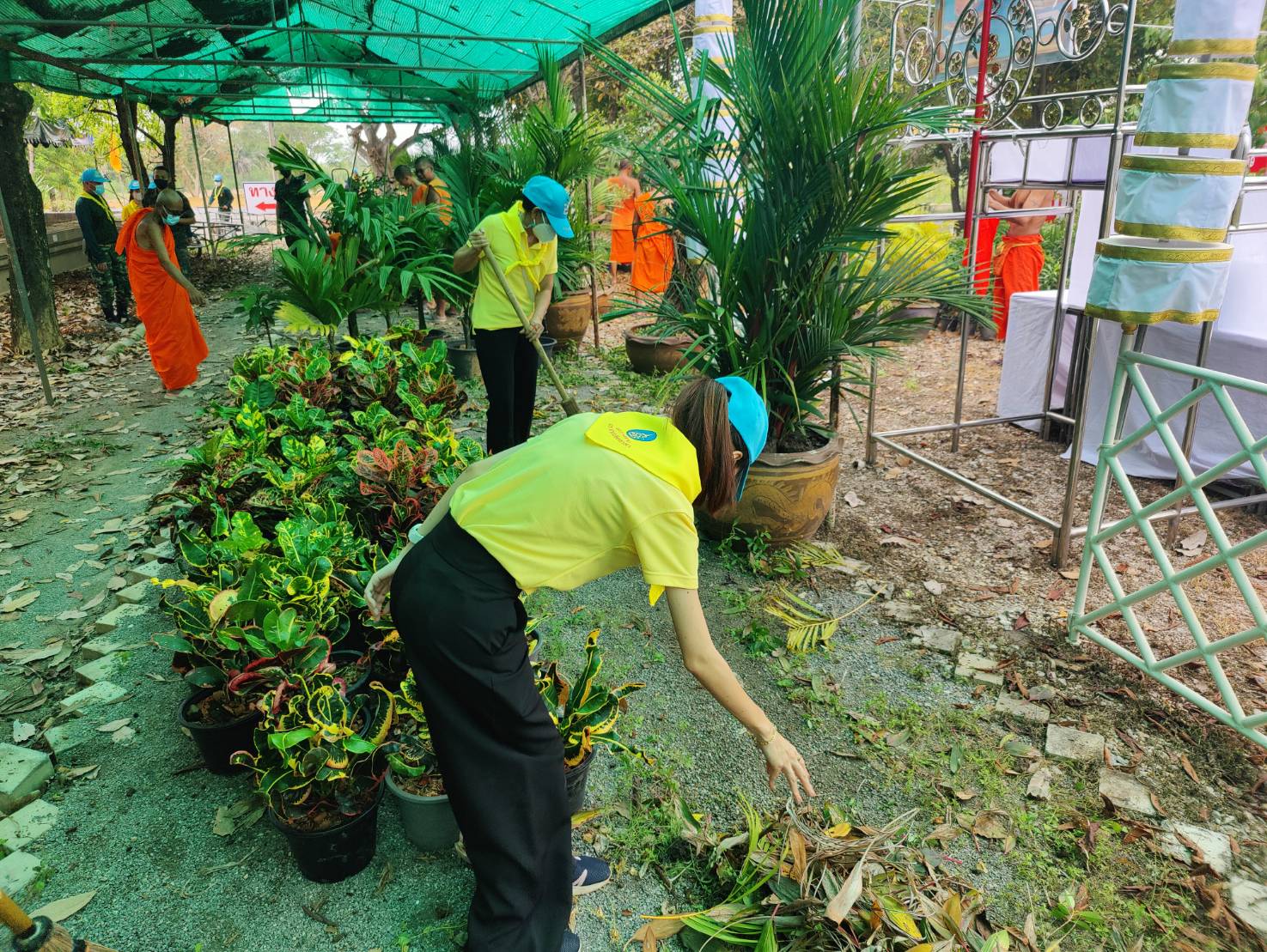 ??ข่าวประชาสัมพันธ์อำเภอบางแพ??