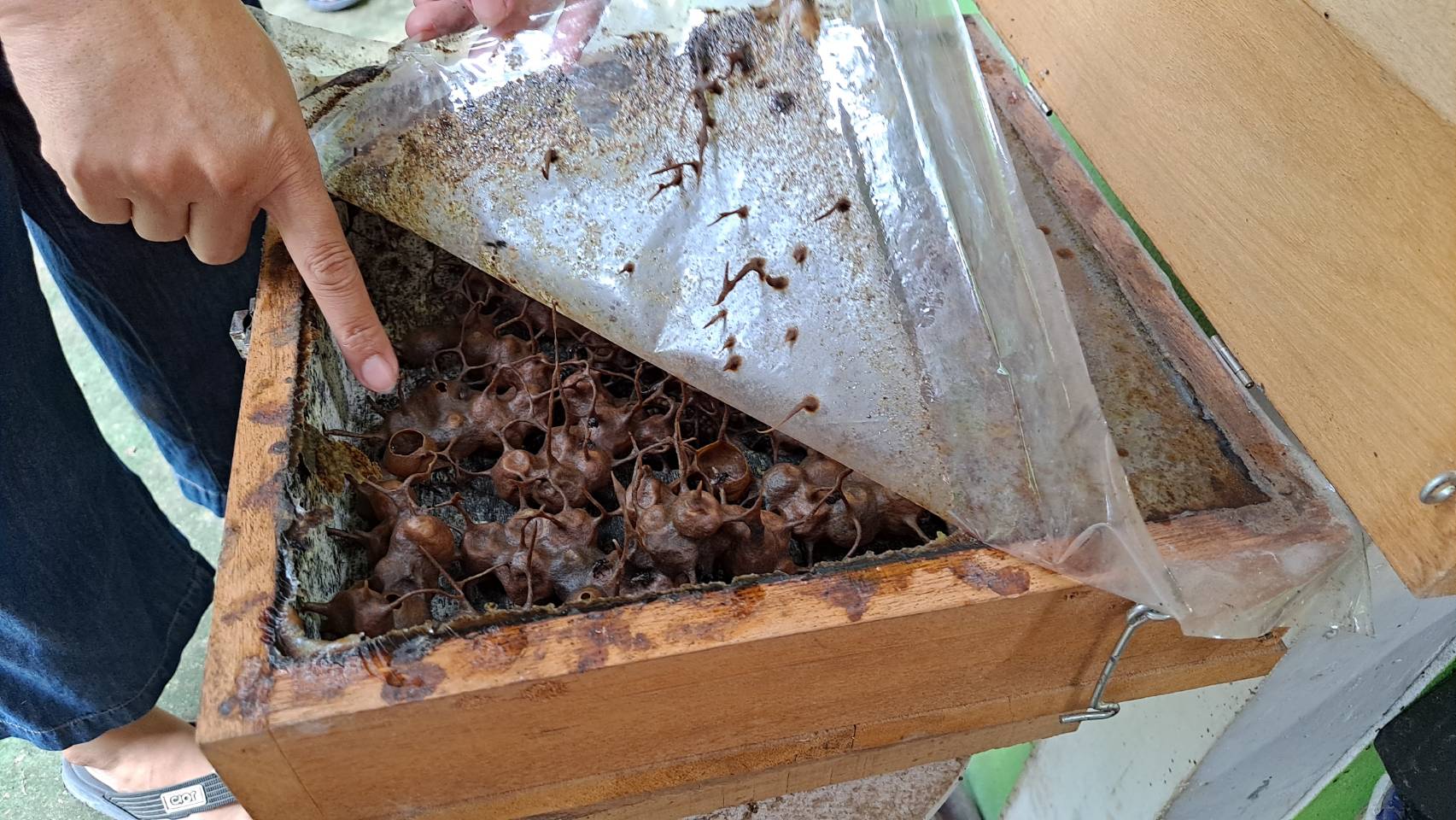 ?ข่าวประชาสัมพันธ์ สำนักงานพัฒนาชุมชนอำเภอวัดเพลง