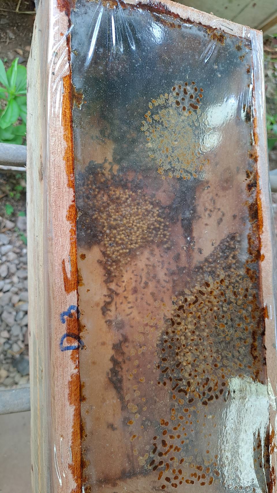 ?ข่าวประชาสัมพันธ์ สำนักงานพัฒนาชุมชนอำเภอวัดเพลง