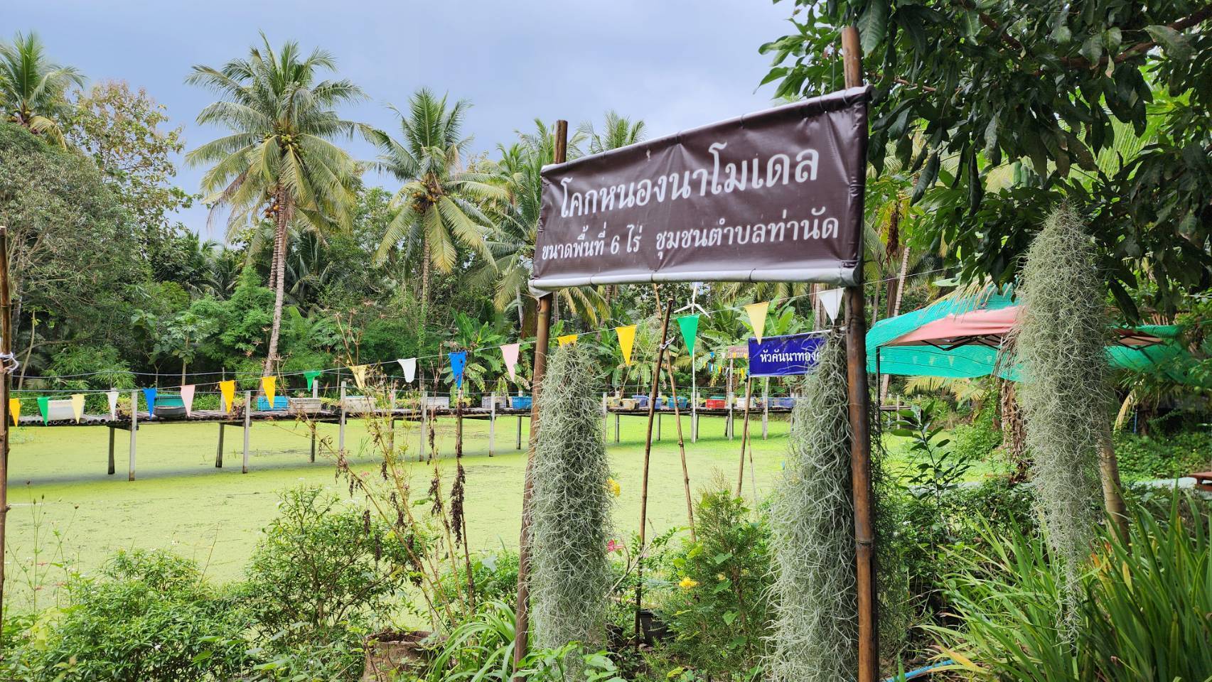 ?พช.ราชบุรี ลงพื้นที่ เยี่ยมชมการดำเนินงานศูนย์เรียนรู้ โคก หนอง นา พัฒนาชุมชน ในพื้นที่อำเภอดำเนินสะดวก จังหวัดราชบุรี