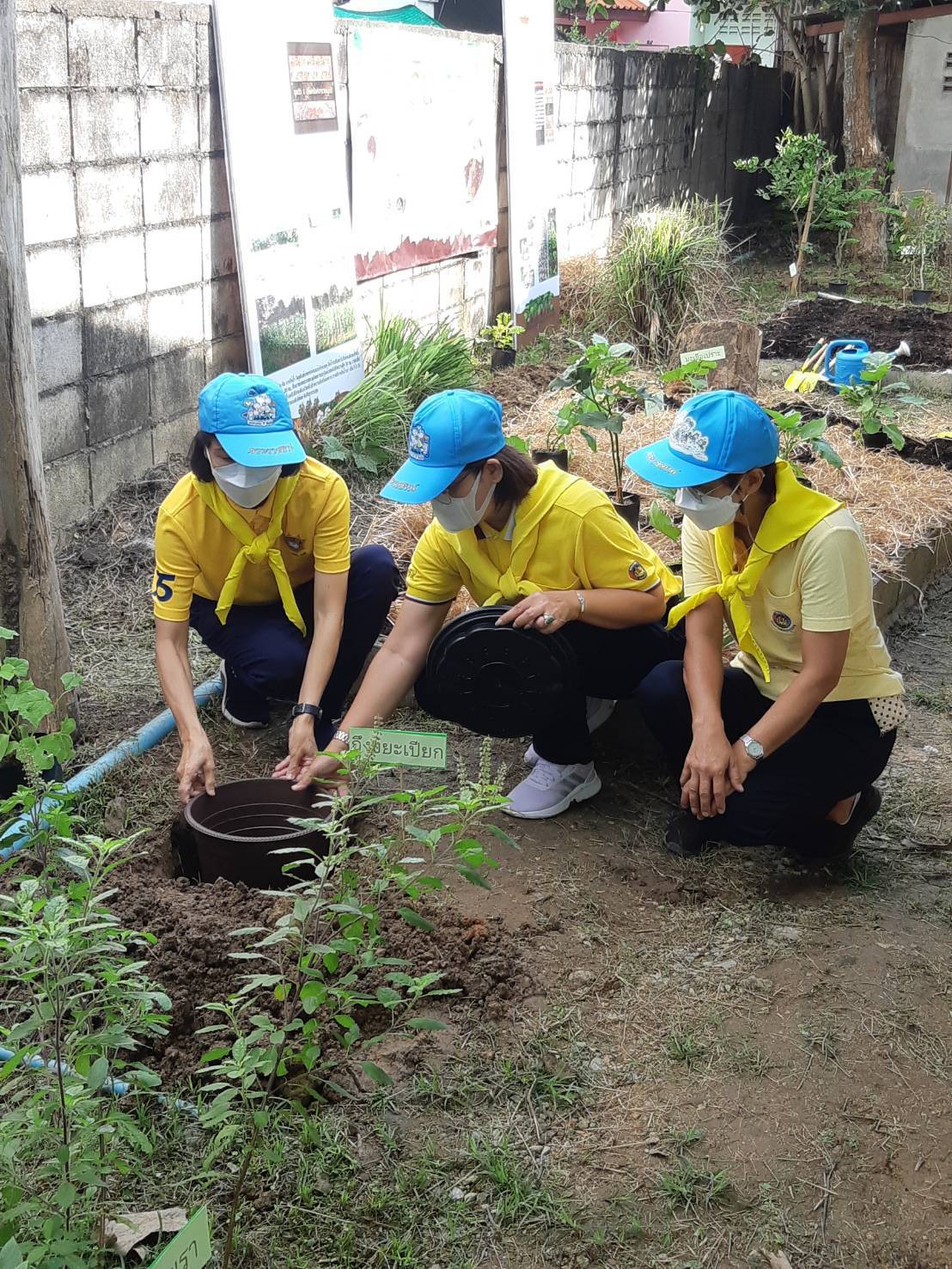 ?พช.ราชบุรี ร่วมกับอำเภอวัดเพลง และสถานีพัฒนาที่ดินจังหวัดราชบุรี จัดกิจกรรม วันดินโลก (World Soil Day) ปี 2565 ภายใต้แนวคิด “อาหารก่อกำเนิดเกิดจากดิน” (Soils : where food begins) ณ พื้นที่อำเภอวัดเพลง จังหวัดราชบุรี