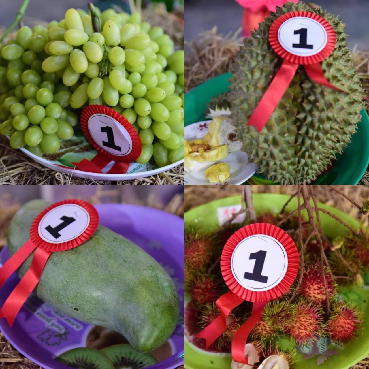 ?พช.ราชบุรีร่วมพิธีเปิดงานมะม่วงและของดีปากท่อและจัดการประกวดเพื่อรณรงค์ส่งเสริมการสวมใส่ผ้าไทย”สตรีสดใส ผ้าไทยใส่สนุก”