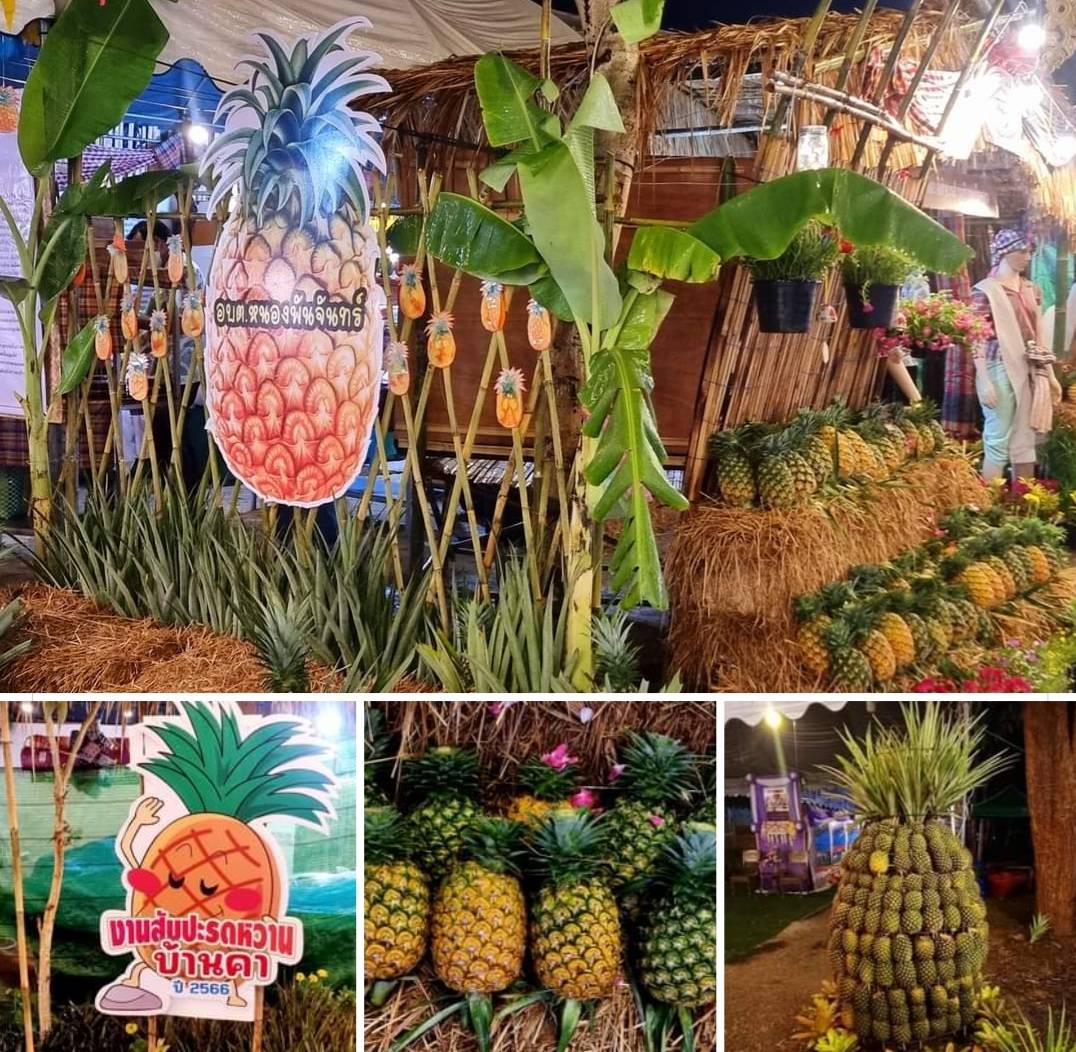 ? จังหวัดราชบุรี อำเภอบ้านคา จัดกิจกรรม “งานวันสับปะรดหวานบ้านคา”