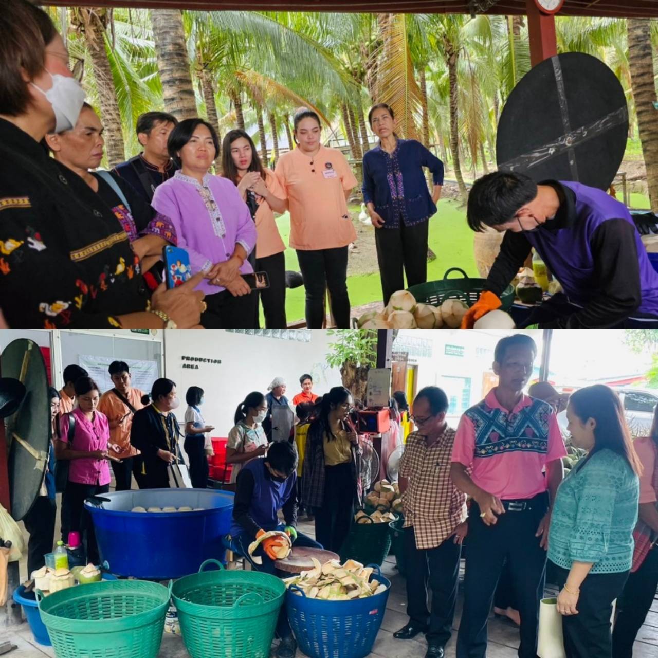 ? พช.ราชบุรี จัดกิจกรรมพัฒนาบุคลากร สัมมนาเชิงปฏิบัติการพัฒนาศักยภาพบุคลากรสำนักงานพัฒนาชุมชนจังหวัดราชบุรีประจำปี 2566