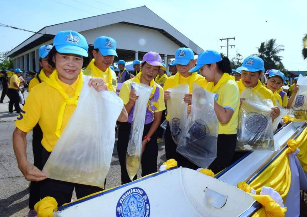 📣พช.ราชบุรี ร่วมกิจกรรมจิตอาสาพัฒนาสถานที่และปรับภูมิทัศน์ เนื่องในวันคล้ายวันพระบรมราชสมภพพระบาทสมเด็จพระบรมชนกาธิเบศร มหาภูมิพลอดุลยเดชมหาราช บรมนาถบพิตร วันชาติ และวันพ่อแห่งชาติ 5 ธันวาคม 2566