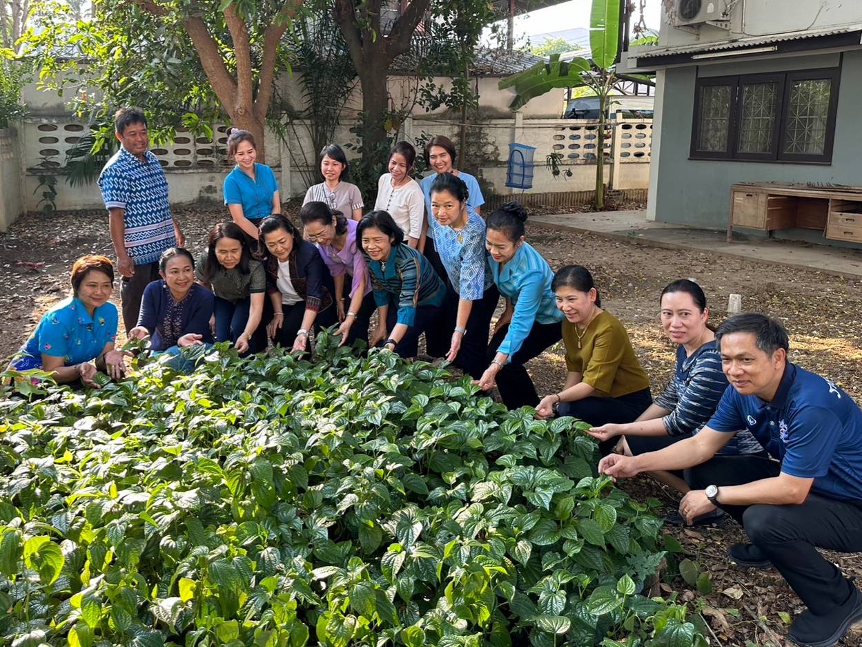 📣พช.ราชบุรี ร่วมกับชมรมแม่บ้านมหาดไทยจังหวัดราชบุรี ขับเคลื่อนการน้อมนำหลักปรัชญาของเศรษฐกิจพอเพียงไปสู่การปฏิบัติ และน้อมนำแนวพระราชดำริของสมเด็จพระกนิษฐาธิราชเจ้ากรมสมเด็จพระเทพรัตนราชสุดาฯ สยามบรมราชกุมารี ปลูกผักสวนครัวสร้างความมั่นคงทางอาหาร
