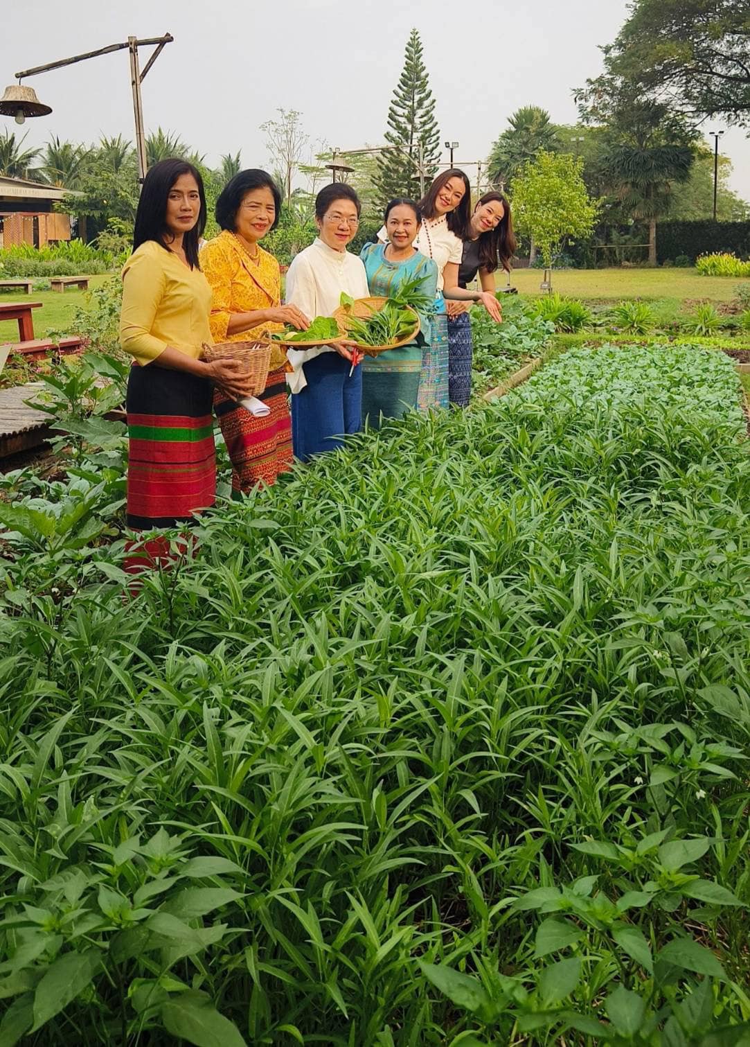 📣 ประธานชมรมแม่บ้านพัฒนาชุมชน จับมือ ประธานชมรมแม่บ้านมหาดไทยจังหวัดราชบุรี ขยายผลการน้อมนำแนวพระราชดำริของสมเด็จพระกนิษฐาธิราชเจ้า กรมสมเด็จพระเทพรัตนราชสุดาฯ สยามบรมราชกุมารี ขับเคลื่อนโครงการสร้างความมั่นคงทางอาหาร “บ้านนี้มีรัก ปลูกผักกินเอง”ขยายผลอาหารปลอดภัยจากบ้านสู่โรงแรม