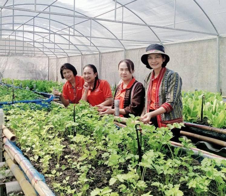 📣 มมท. ราชบุรี เข้าร่วมโครงการสัมมนาและศึกษาดูงานเพื่อเพิ่มประสิทธิภาพในการปฏิบัติงาน ตามพระดำริฯ ต่อยอดกิจกรรมบ้านนี้มีรัก ปลูกผักกินเอง และ ทางนี้มีผลผู้คนรักกัน ณ.จังหวัดน่าน