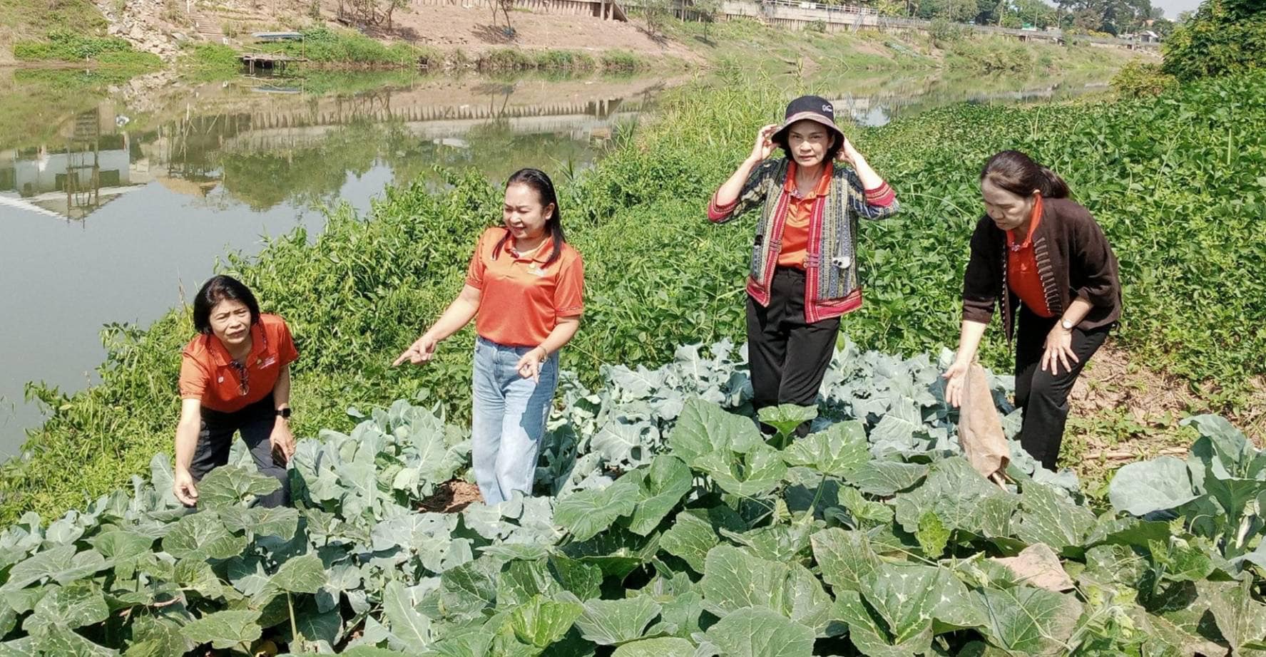 📣 มมท. ราชบุรี เข้าร่วมโครงการสัมมนาและศึกษาดูงานเพื่อเพิ่มประสิทธิภาพในการปฏิบัติงาน ตามพระดำริฯ ต่อยอดกิจกรรมบ้านนี้มีรัก ปลูกผักกินเอง และ ทางนี้มีผลผู้คนรักกัน ณ.จังหวัดน่าน