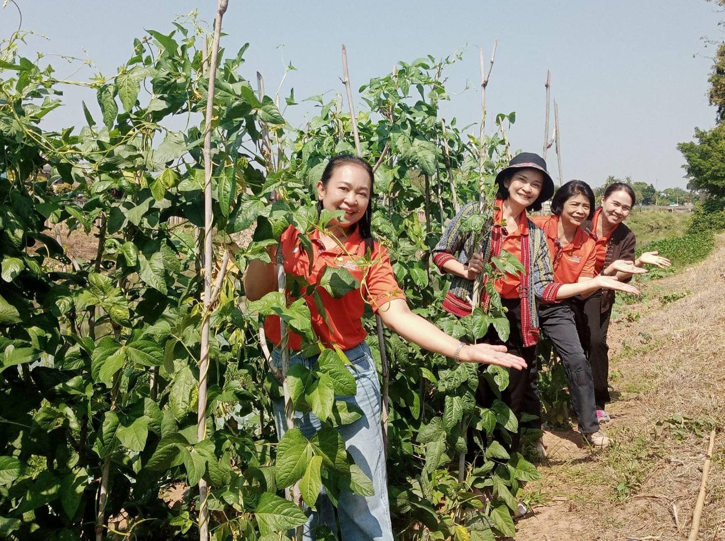 📣 มมท. ราชบุรี เข้าร่วมโครงการสัมมนาและศึกษาดูงานเพื่อเพิ่มประสิทธิภาพในการปฏิบัติงาน ตามพระดำริฯ ต่อยอดกิจกรรมบ้านนี้มีรัก ปลูกผักกินเอง และ ทางนี้มีผลผู้คนรักกัน ณ.จังหวัดน่าน