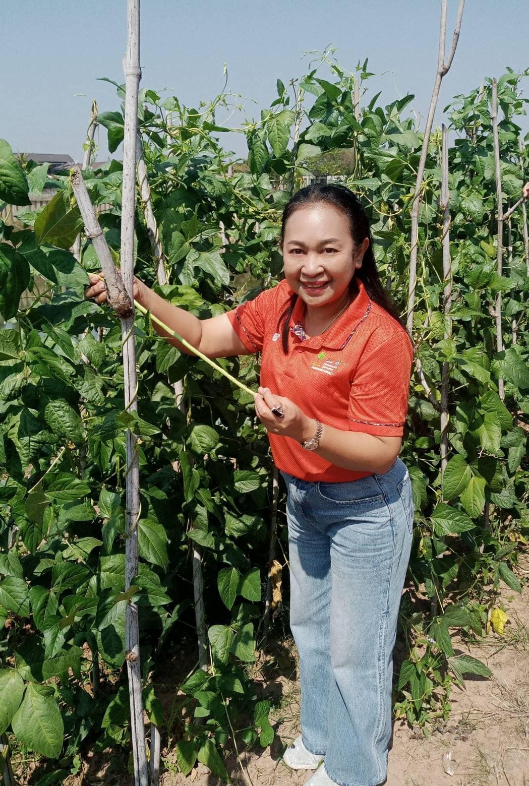 📣 มมท. ราชบุรี เข้าร่วมโครงการสัมมนาและศึกษาดูงานเพื่อเพิ่มประสิทธิภาพในการปฏิบัติงาน ตามพระดำริฯ ต่อยอดกิจกรรมบ้านนี้มีรัก ปลูกผักกินเอง และ ทางนี้มีผลผู้คนรักกัน ณ.จังหวัดน่าน