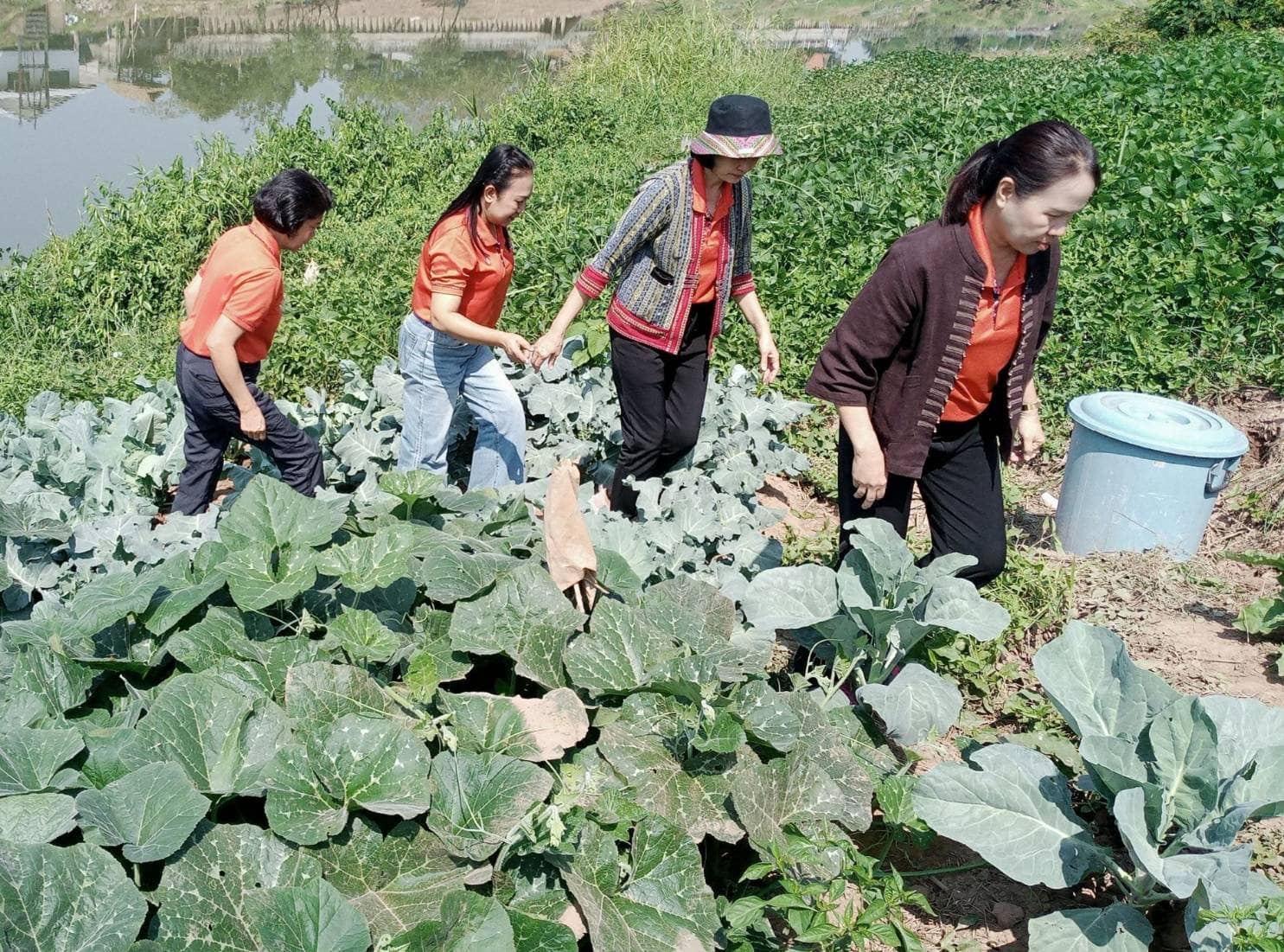 📣 มมท. ราชบุรี เข้าร่วมโครงการสัมมนาและศึกษาดูงานเพื่อเพิ่มประสิทธิภาพในการปฏิบัติงาน ตามพระดำริฯ ต่อยอดกิจกรรมบ้านนี้มีรัก ปลูกผักกินเอง และ ทางนี้มีผลผู้คนรักกัน ณ.จังหวัดน่าน