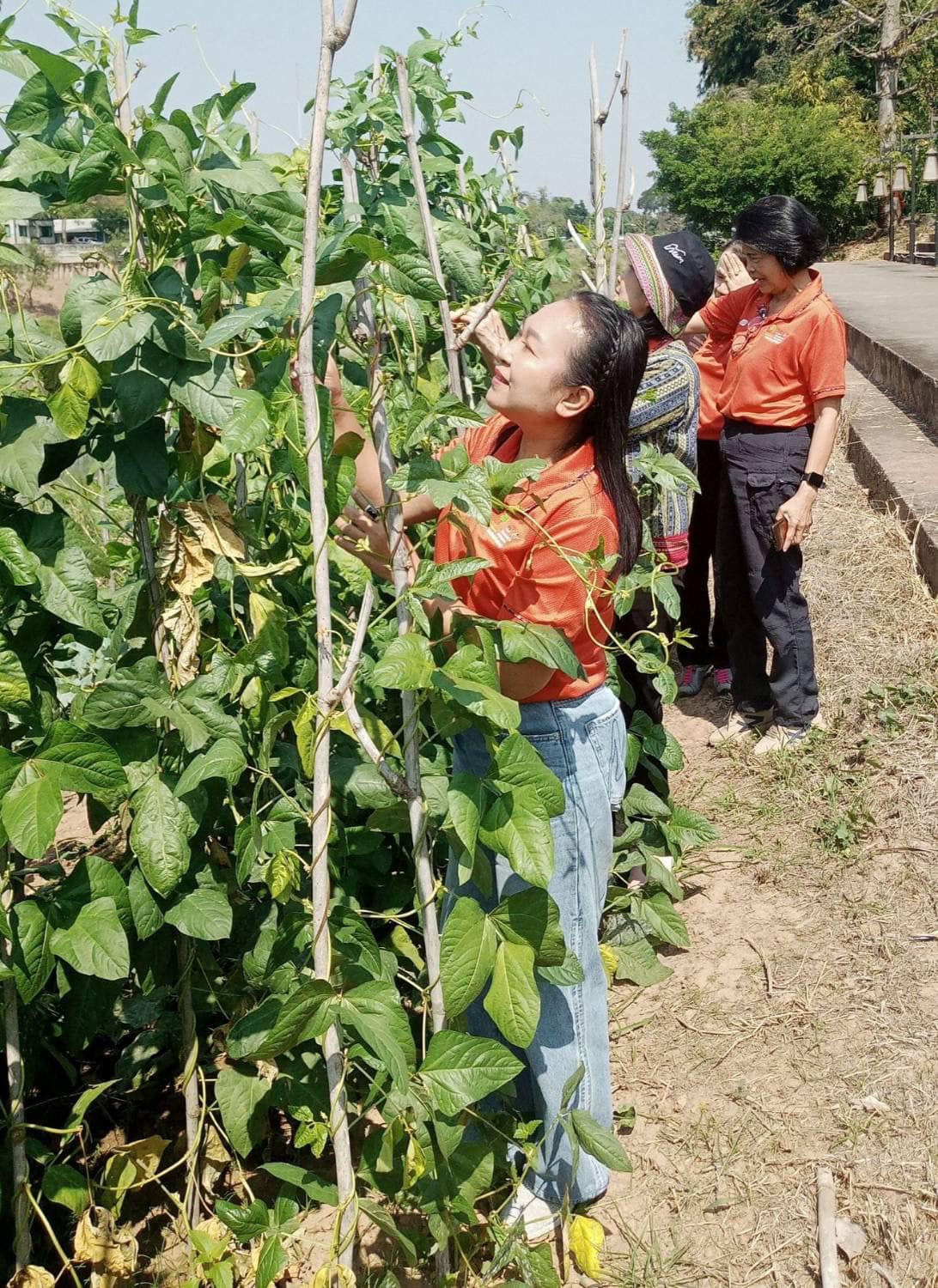 📣 มมท. ราชบุรี เข้าร่วมโครงการสัมมนาและศึกษาดูงานเพื่อเพิ่มประสิทธิภาพในการปฏิบัติงาน ตามพระดำริฯ ต่อยอดกิจกรรมบ้านนี้มีรัก ปลูกผักกินเอง และ ทางนี้มีผลผู้คนรักกัน ณ.จังหวัดน่าน