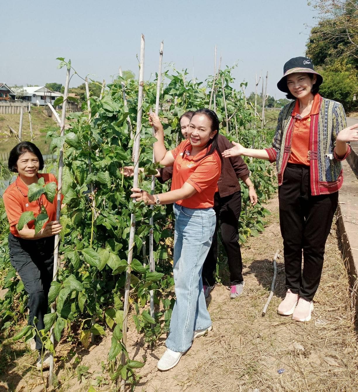 📣 มมท. ราชบุรี เข้าร่วมโครงการสัมมนาและศึกษาดูงานเพื่อเพิ่มประสิทธิภาพในการปฏิบัติงาน ตามพระดำริฯ ต่อยอดกิจกรรมบ้านนี้มีรัก ปลูกผักกินเอง และ ทางนี้มีผลผู้คนรักกัน ณ.จังหวัดน่าน