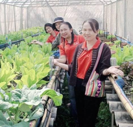 📣 มมท. ราชบุรี เข้าร่วมโครงการสัมมนาและศึกษาดูงานเพื่อเพิ่มประสิทธิภาพในการปฏิบัติงาน ตามพระดำริฯ ต่อยอดกิจกรรมบ้านนี้มีรัก ปลูกผักกินเอง และ ทางนี้มีผลผู้คนรักกัน ณ.จังหวัดน่าน