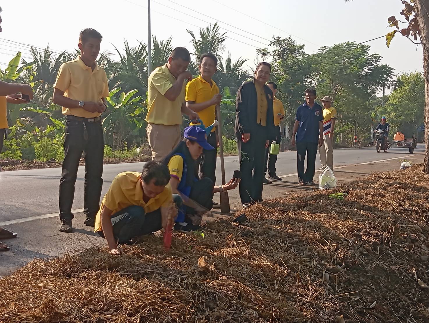 🌱อำเภอวัดเพลง ขับเคลื่อนโครงการทางนี้มีผล ผู้คนรักกัน ถนนกินได้ 1,073 เส้นทาง เฉลิมพระเกียรติ พระบาทสมเด็จพระเจ้าอยู่หัว เนื่องในโอกาสมหามงคลเฉลิมพระชนมพรรษา 6 รอบ 28 กรกฎาคม 2567