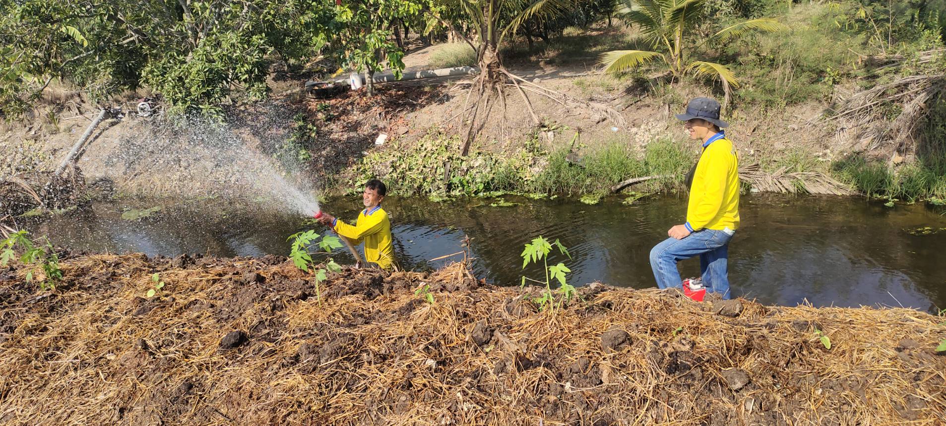 🌱อำเภอวัดเพลง ขับเคลื่อนโครงการทางนี้มีผล ผู้คนรักกัน ถนนกินได้ 1,073 เส้นทาง เฉลิมพระเกียรติ พระบาทสมเด็จพระเจ้าอยู่หัว เนื่องในโอกาสมหามงคลเฉลิมพระชนมพรรษา 6 รอบ 28 กรกฎาคม 2567
