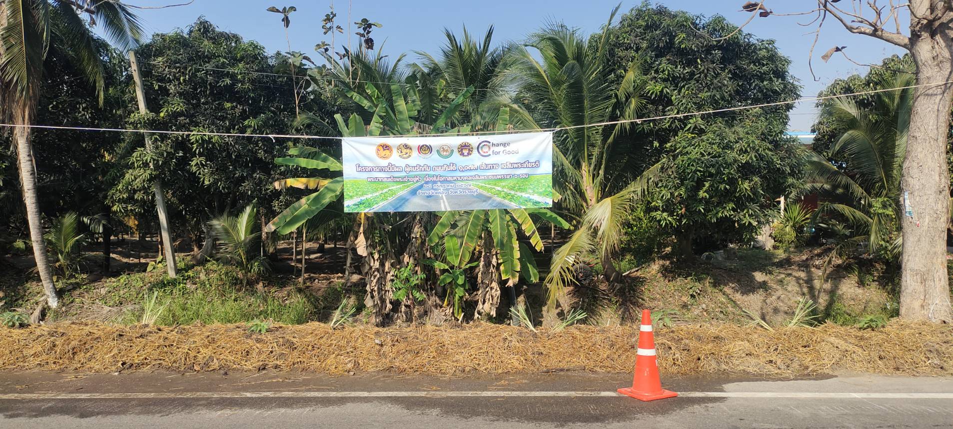 🌱อำเภอวัดเพลง ขับเคลื่อนโครงการทางนี้มีผล ผู้คนรักกัน ถนนกินได้ 1,073 เส้นทาง เฉลิมพระเกียรติ พระบาทสมเด็จพระเจ้าอยู่หัว เนื่องในโอกาสมหามงคลเฉลิมพระชนมพรรษา 6 รอบ 28 กรกฎาคม 2567