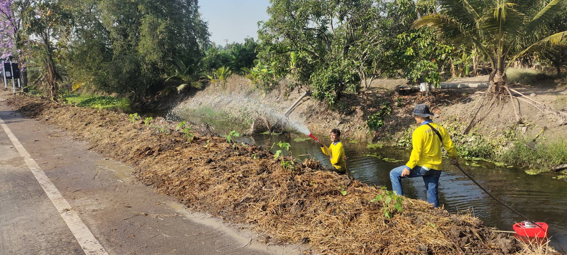 🌱อำเภอวัดเพลง ขับเคลื่อนโครงการทางนี้มีผล ผู้คนรักกัน ถนนกินได้ 1,073 เส้นทาง เฉลิมพระเกียรติ พระบาทสมเด็จพระเจ้าอยู่หัว เนื่องในโอกาสมหามงคลเฉลิมพระชนมพรรษา 6 รอบ 28 กรกฎาคม 2567