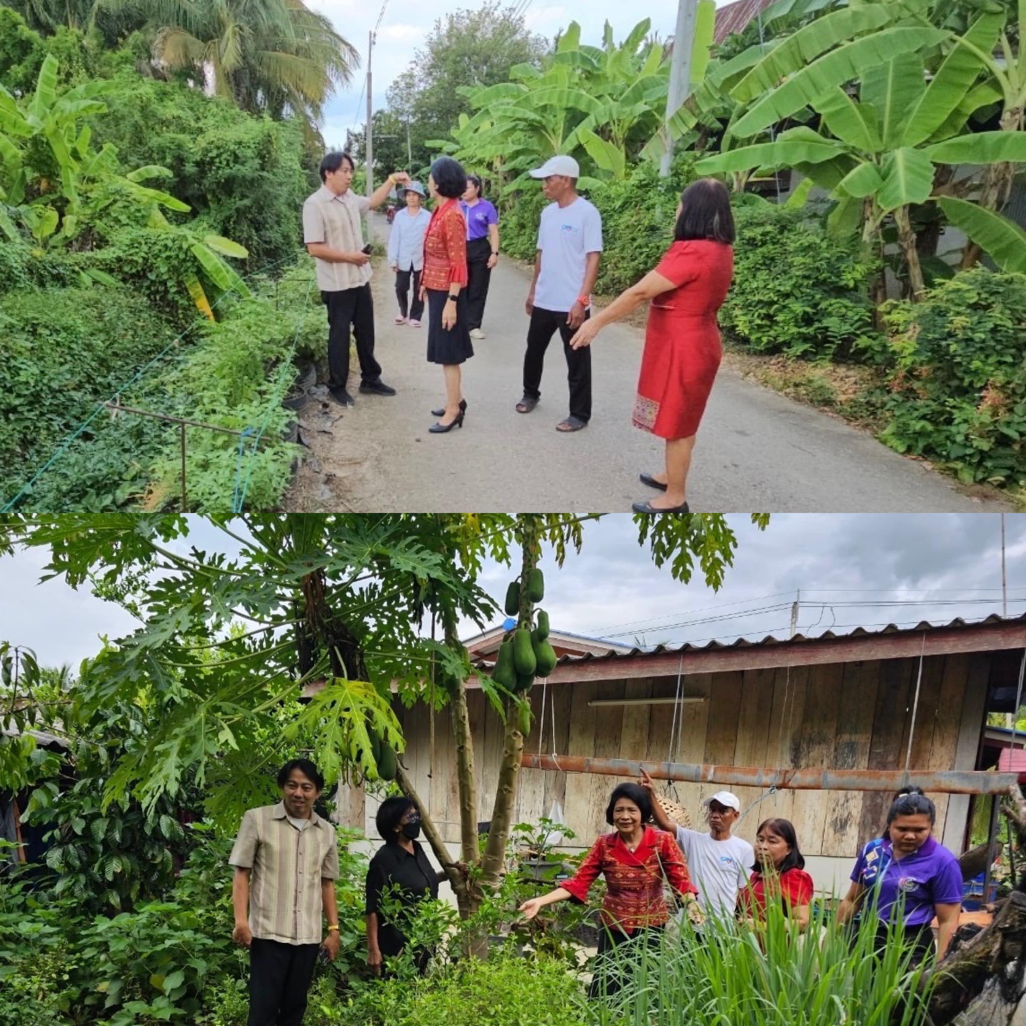 📣 พช.ราชบุรี ลงพื้นที่ อ.โพธาราม ตรวจเยี่ยมและติดตามผลการดำเนินงานกิจกรรมการสร้างความมั่นคงทางอาหาร “บ้านนี้มีรักปลูกผักกินเอง ทางนี้มีผลผู้คนรักกัน” ตามแนวพระราชดำริกรมสมเด็จพระเทพรัตนราชสุดาฯ สยามบรมราชกุมารี สู่การปฏิบัติ