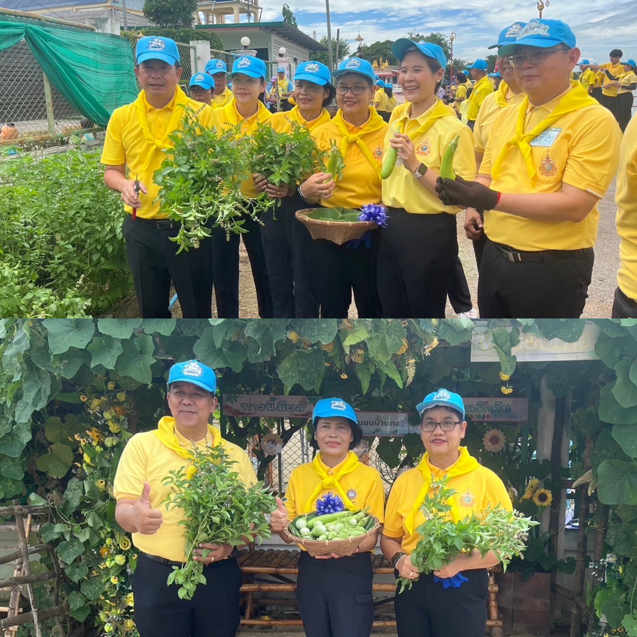 📣 พช.ราชบุรี ร่วมกิจกรรมจิตอาสาวันเฉลิมพระชนมพรรษา 3 มิถุนายน 2567