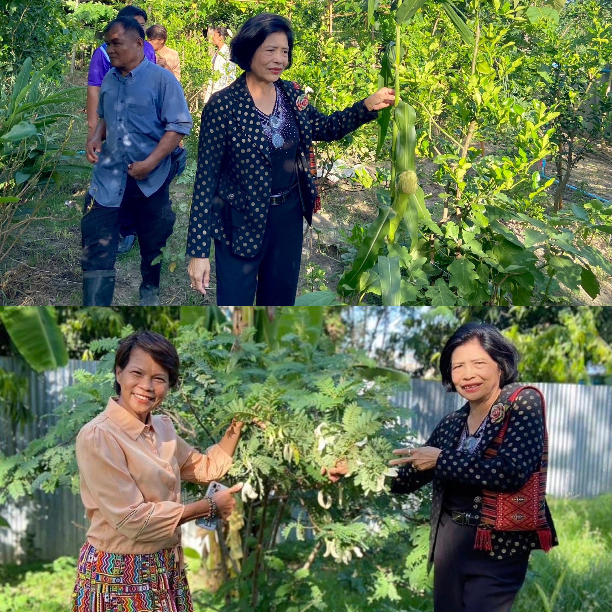 📣 พช.ราชบุรี ลงพื้นที่ตรวจเยี่ยม และติดตามผลการดำเนินงานกิจกรรมการสร้างความมั่นคงทางอาหาร “บ้านนี้มีรักปลูกผักกินเอง ทางนี้มีผลผู้คนรักกัน” ตามแนวพระราชดำริกรมสมเด็จพระเทพรัตนราชสุดาฯ สยามบรมราชกุมารี สู่การปฏิบัติ