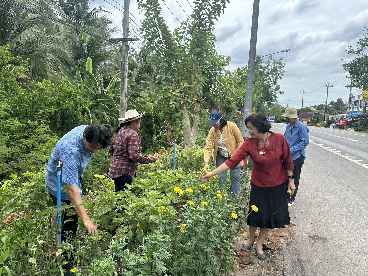 📣 พช.ราชบุรี ลงพื้นที่ตรวจเยี่ยม และติดตามผลการดำเนินงานกิจกรรมการสร้างความมั่นคงทางอาหาร “บ้านนี้มีรักปลูกผักกินเอง ทางนี้มีผลผู้คนรักกัน” ตามแนวพระราชดำริกรมสมเด็จพระเทพรัตนราชสุดาฯ สยามบรมราชกุมารี สู่การปฏิบัติ