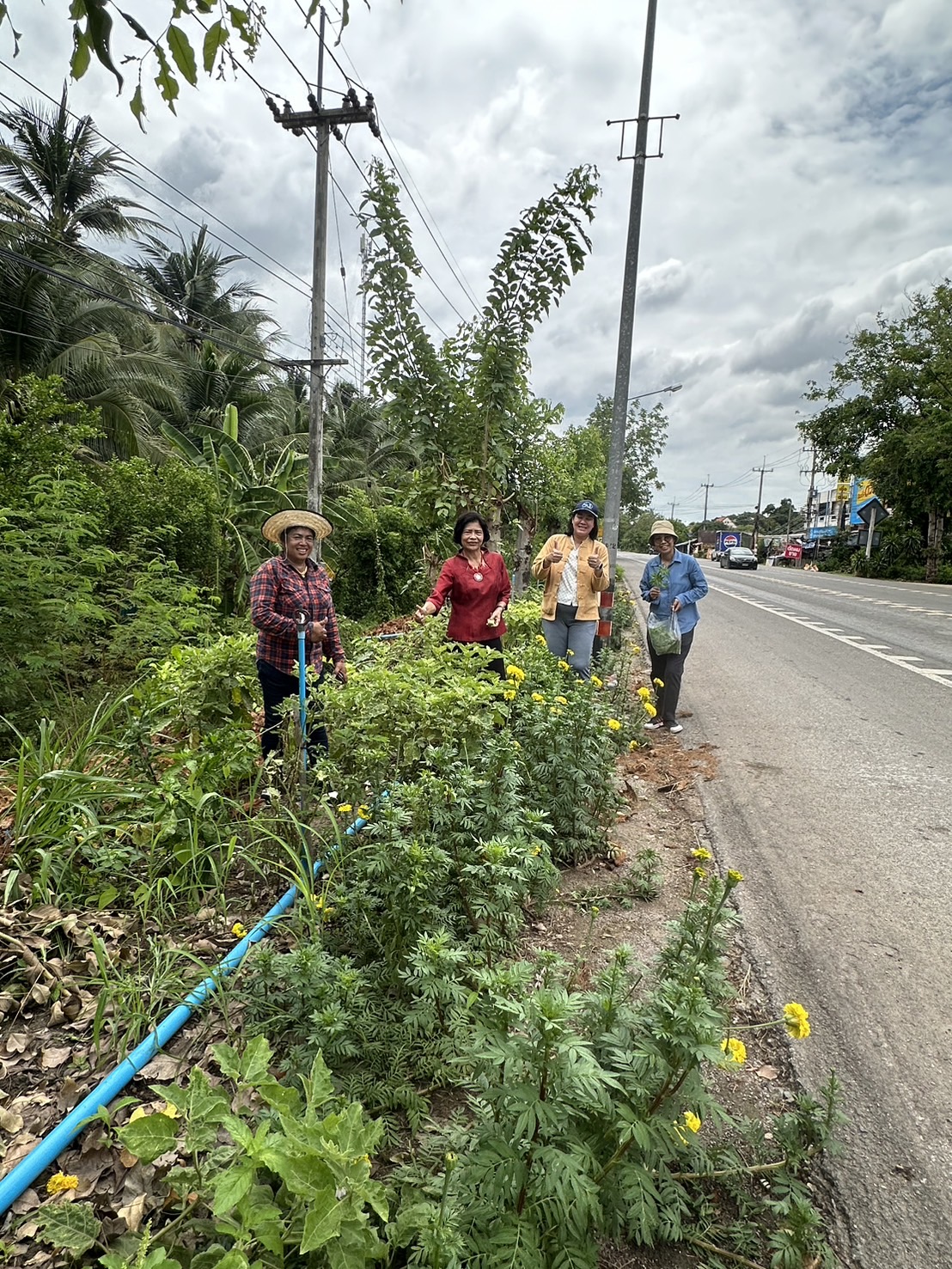 📣 พช.ราชบุรี ลงพื้นที่ตรวจเยี่ยม และติดตามผลการดำเนินงานกิจกรรมการสร้างความมั่นคงทางอาหาร “บ้านนี้มีรักปลูกผักกินเอง ทางนี้มีผลผู้คนรักกัน” ตามแนวพระราชดำริกรมสมเด็จพระเทพรัตนราชสุดาฯ สยามบรมราชกุมารี สู่การปฏิบัติ