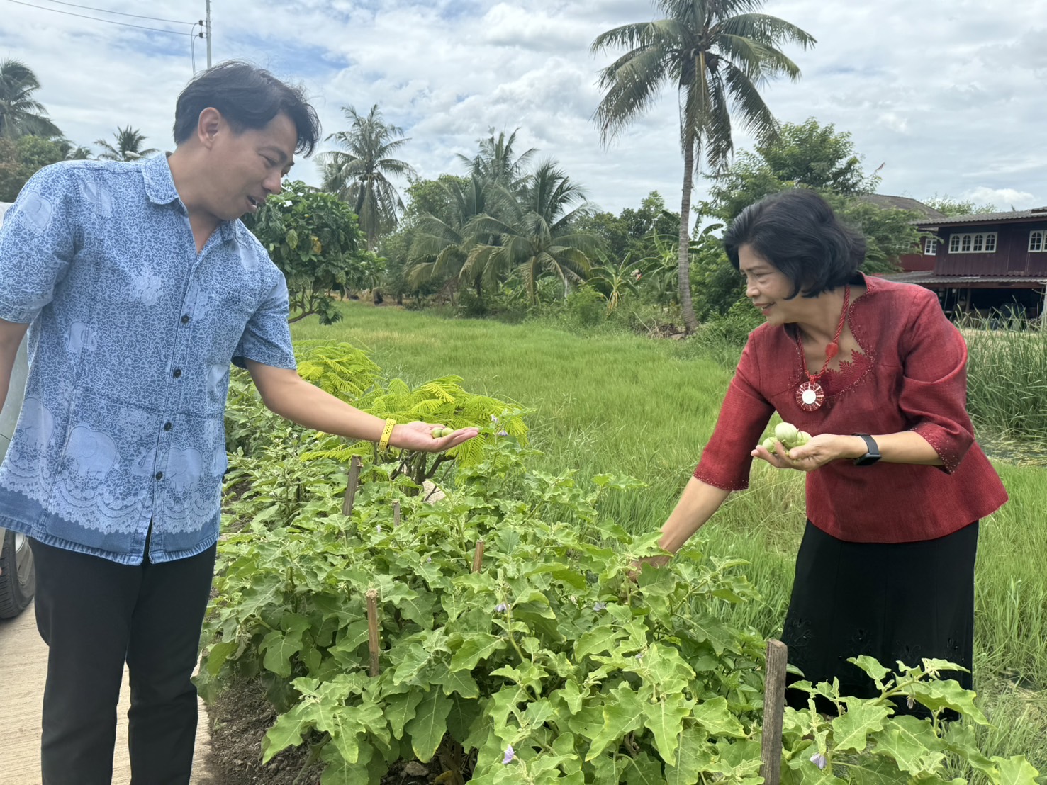 📣 พช.ราชบุรี ลงพื้นที่ตรวจเยี่ยม และติดตามผลการดำเนินงานกิจกรรมการสร้างความมั่นคงทางอาหาร “บ้านนี้มีรักปลูกผักกินเอง ทางนี้มีผลผู้คนรักกัน” ตามแนวพระราชดำริกรมสมเด็จพระเทพรัตนราชสุดาฯ สยามบรมราชกุมารี สู่การปฏิบัติ