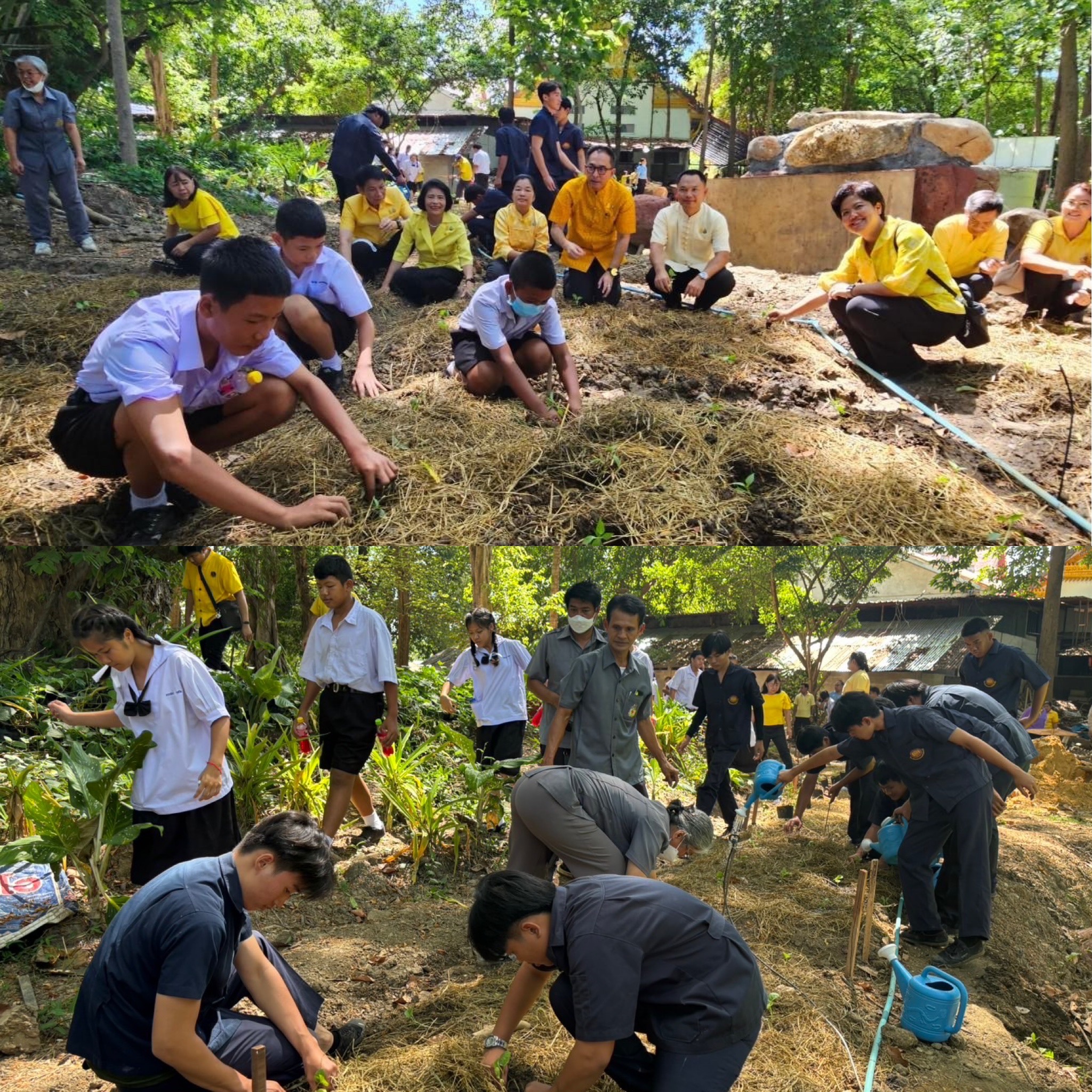 พช.ราชบุรี จัดกิจกรรม “เอามื้อสามัคคี สร้างความมั่นคงทางอาหาร ปลูกผักสวนครัว จากวัดสู่ชุมชน” ขับเคลื่อนการน้อมนำแนวพระราชดำริของสมเด็จพระกนิษฐาธิราชเจ้า กรมสมเด็จพระเทพรัตนราชสุดาฯ สยามบรมราชกุมารี สู่การปฏิบัติ