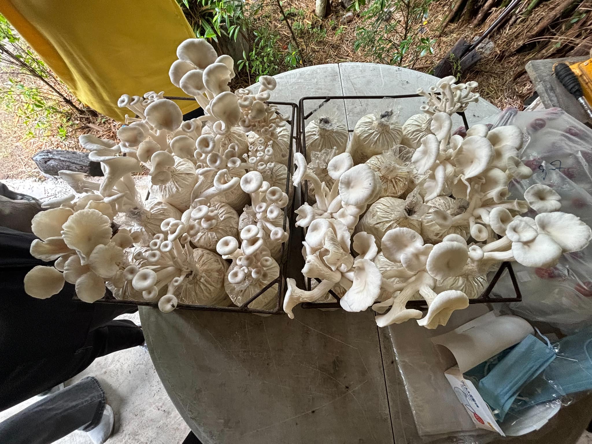 ผวจ.ราชบุรี นำคณะลงพื้นตรวจเยี่ยมสถานประกอบกิจการ เยี่ยมเยียนผู้ประกอบการภาคเอกชน ณ บริษัทราชบุรีเอ็นเตอร์ไพรส์ จำกัด  และเยี่ยมเยียนหมู่บ้านชุมชนรอบสถานประกอบการฯ